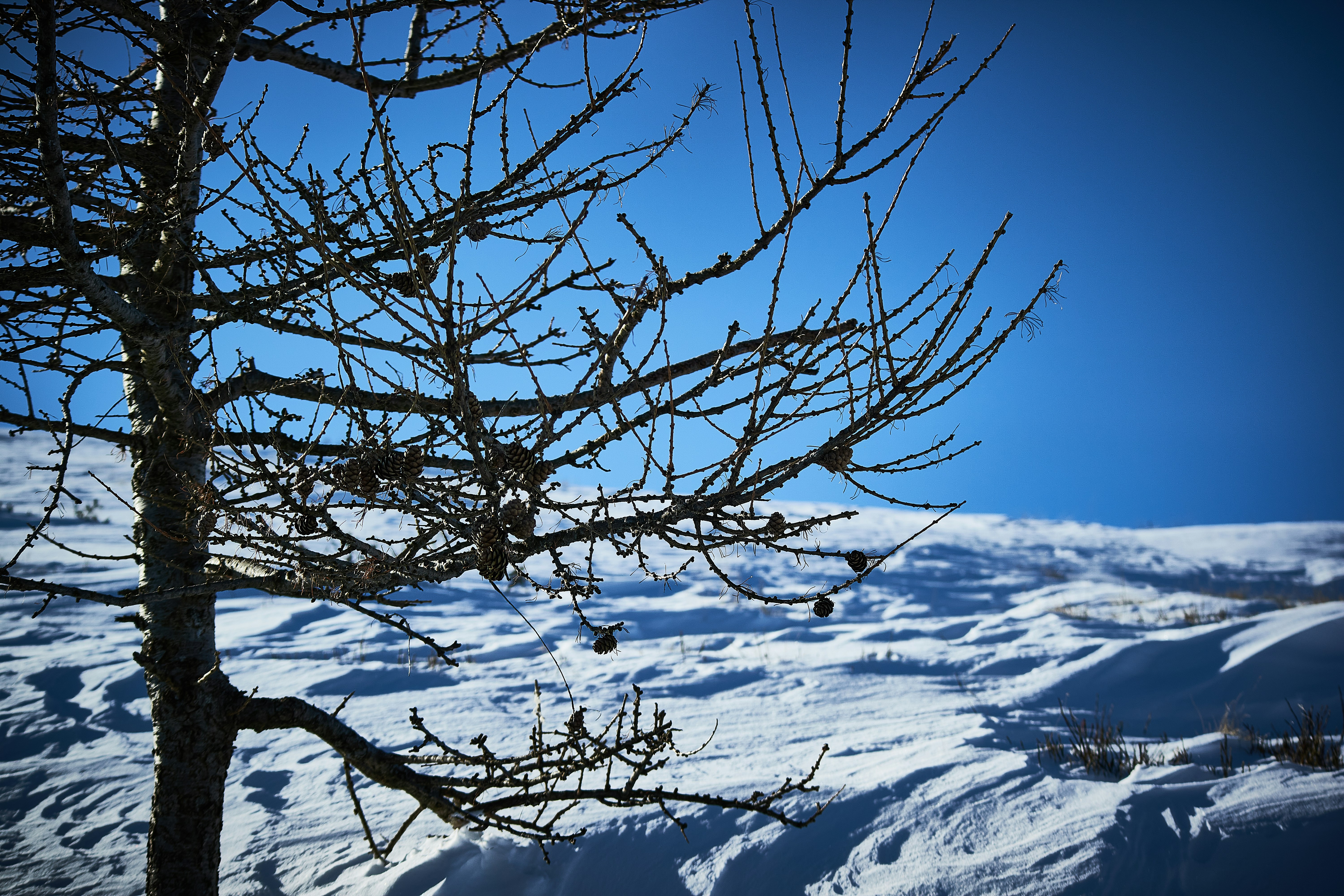 Photo by 00mancio00