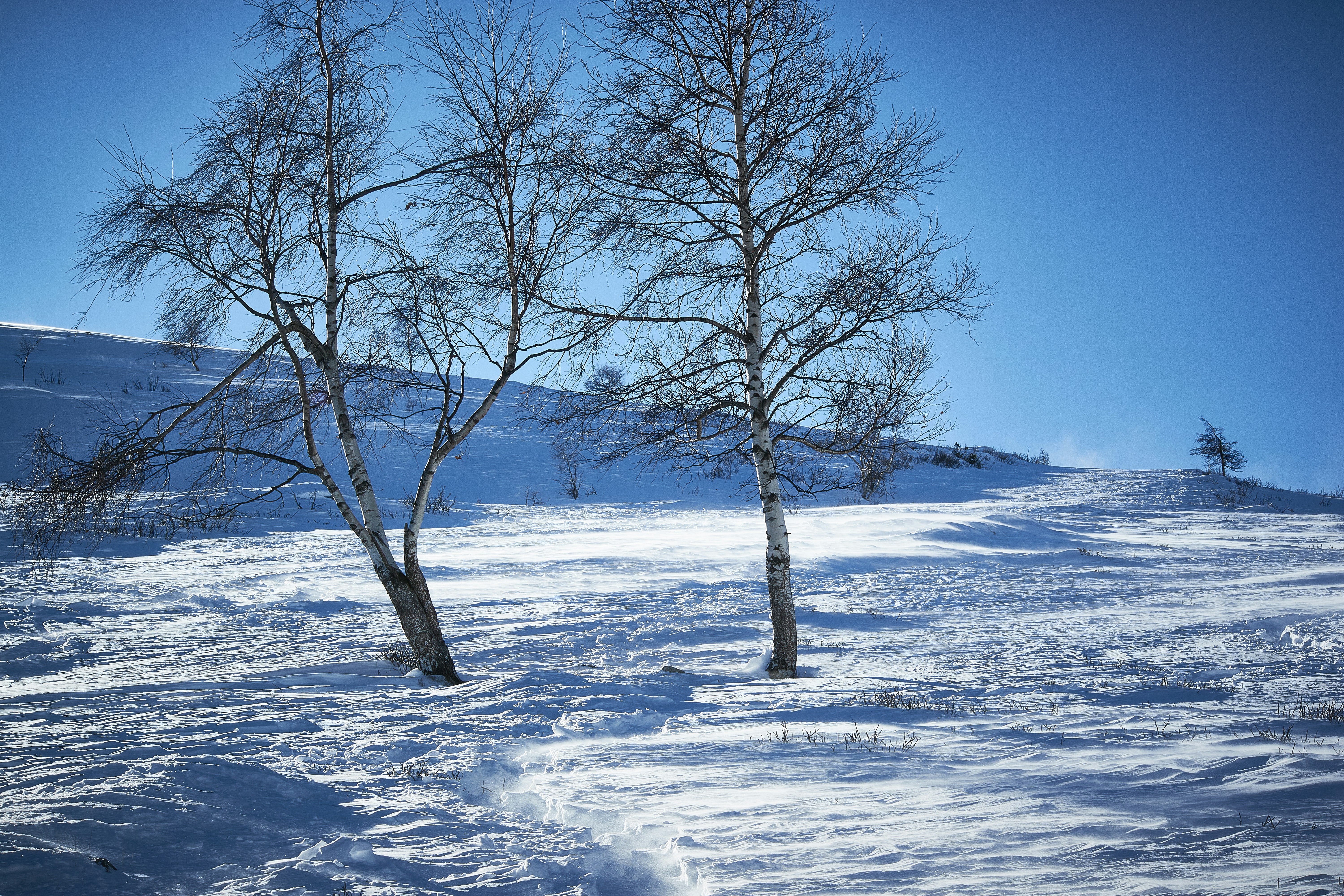 Photo by 00mancio00