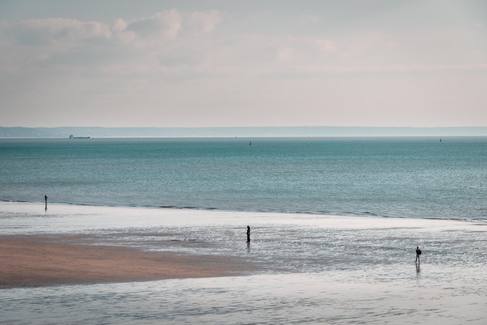 a group of people standing on top of a beach next to the ocean