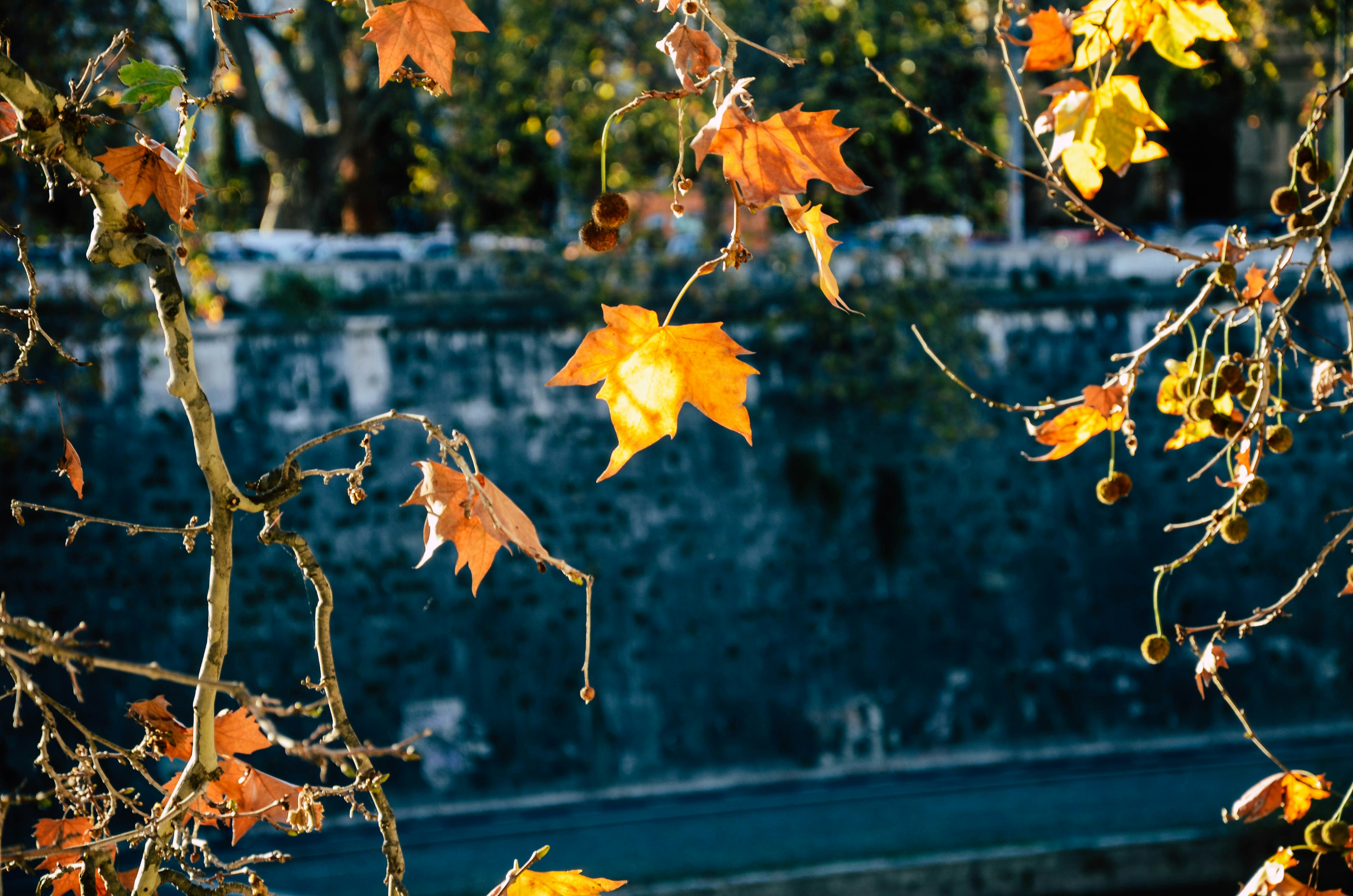 Photo by nika_benedictova