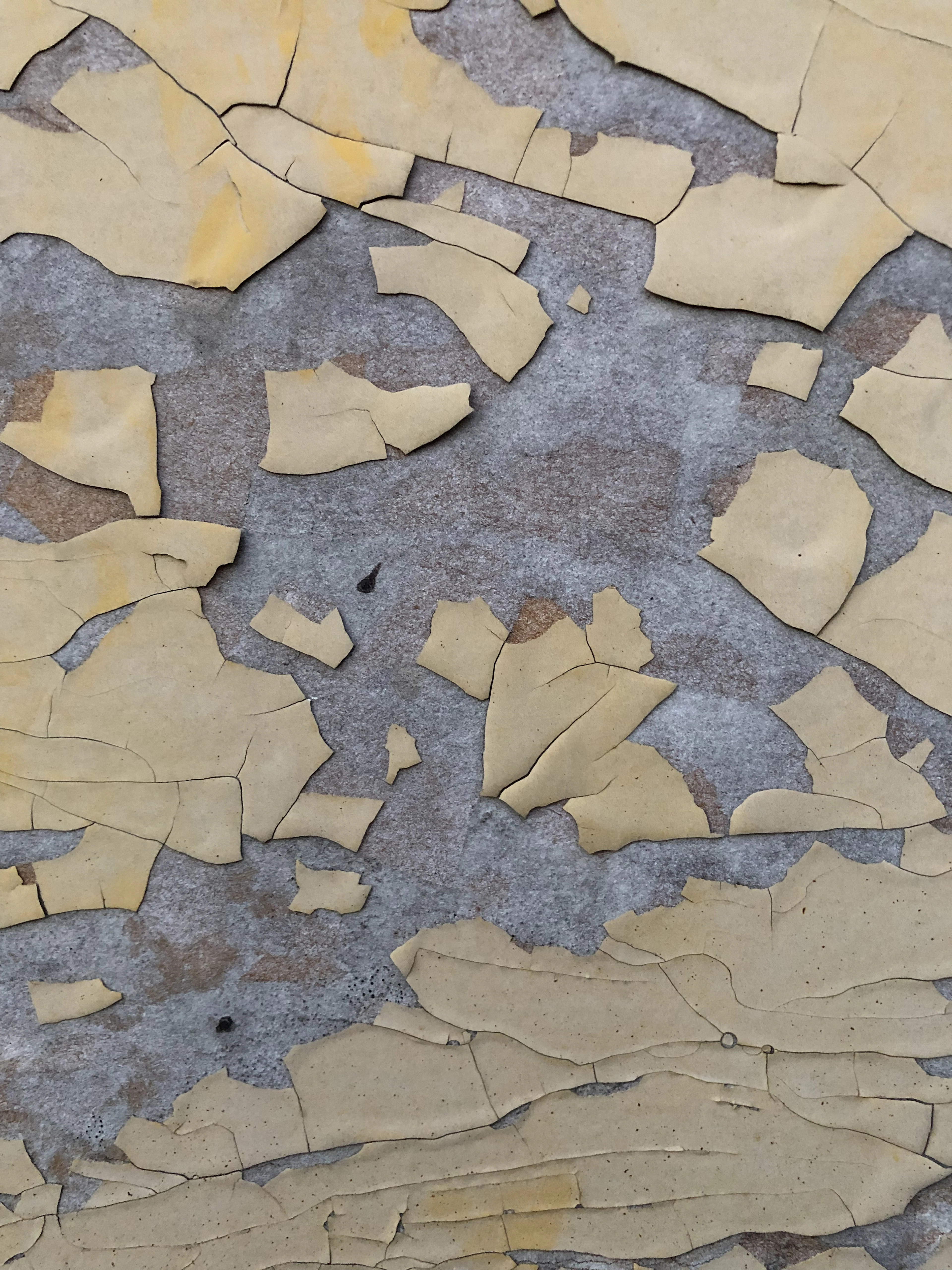Torn paper on a wall