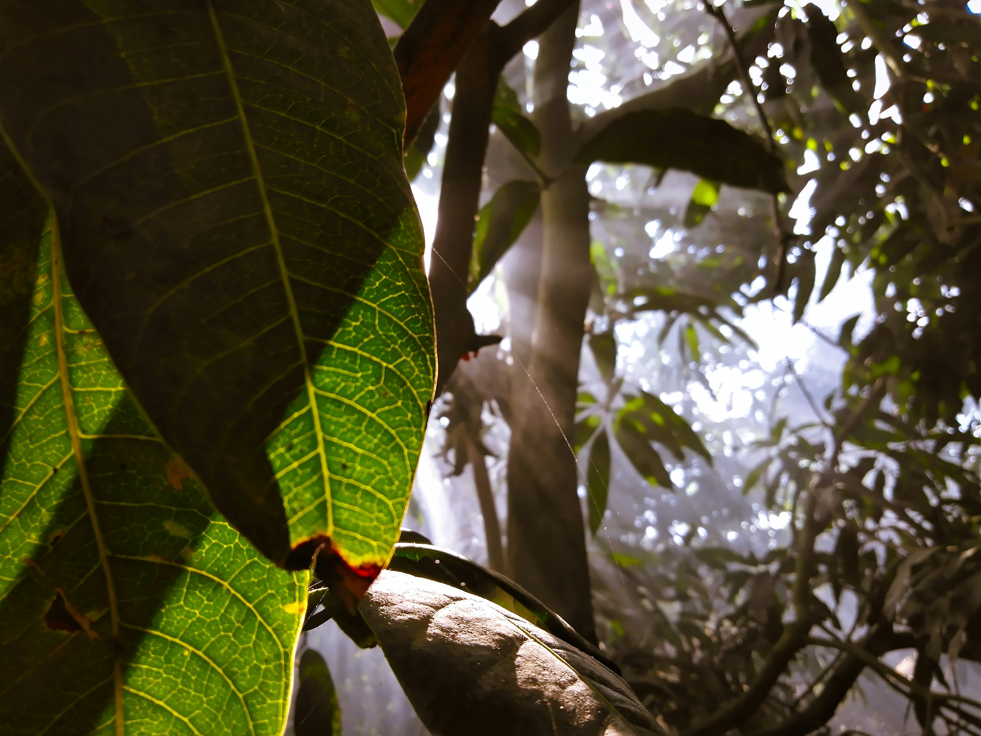 Photo by ahmedghobashy