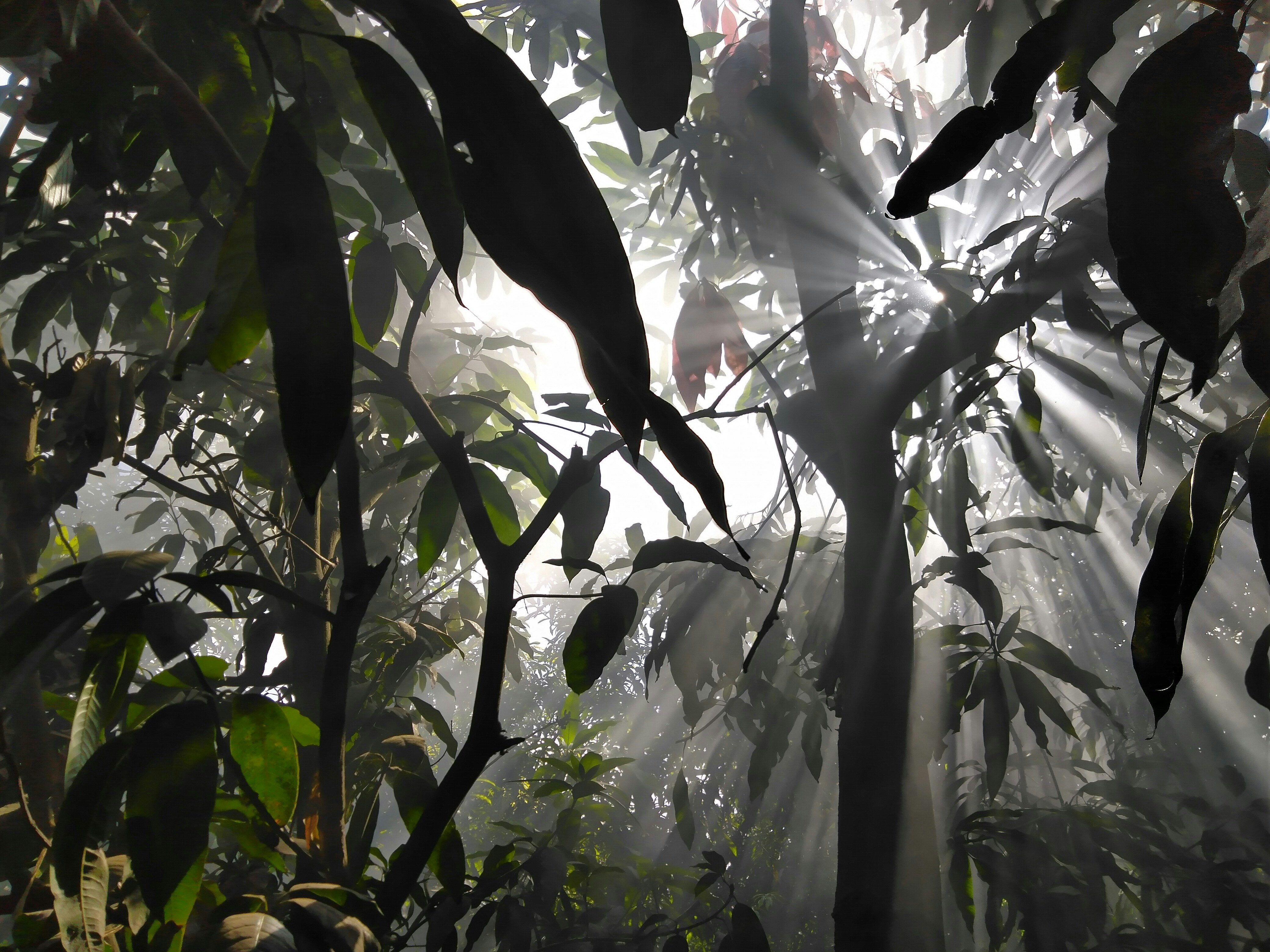 Photo by ahmedghobashy