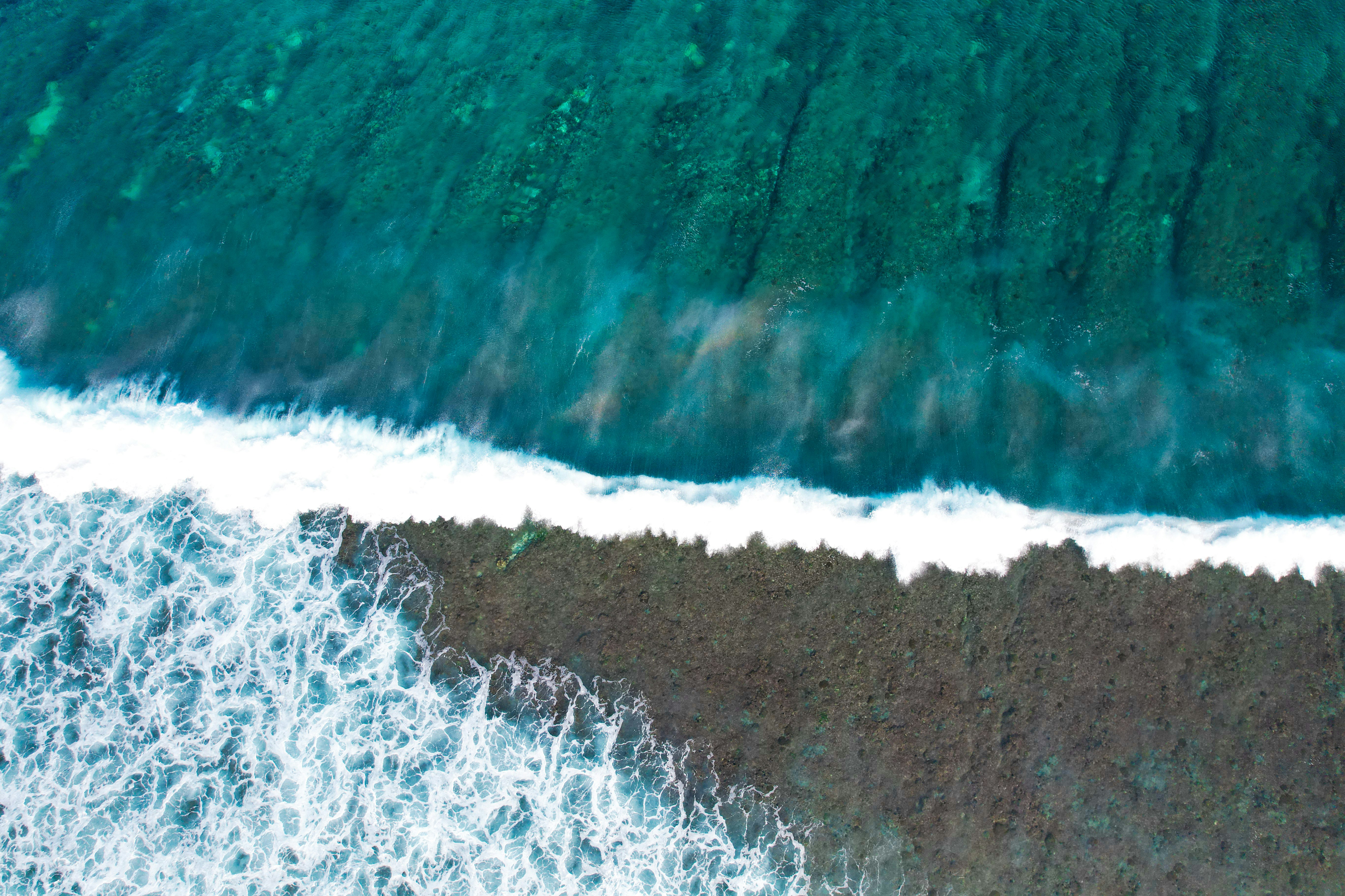 Photo by nashiuphotos