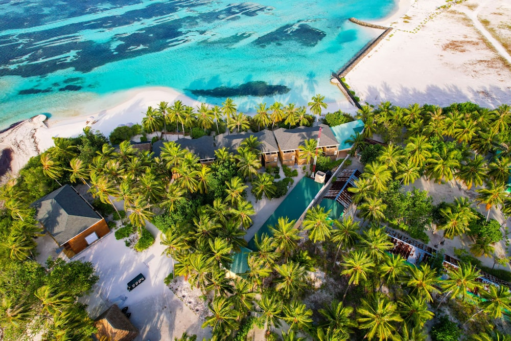 a bird's eye view of a tropical resort