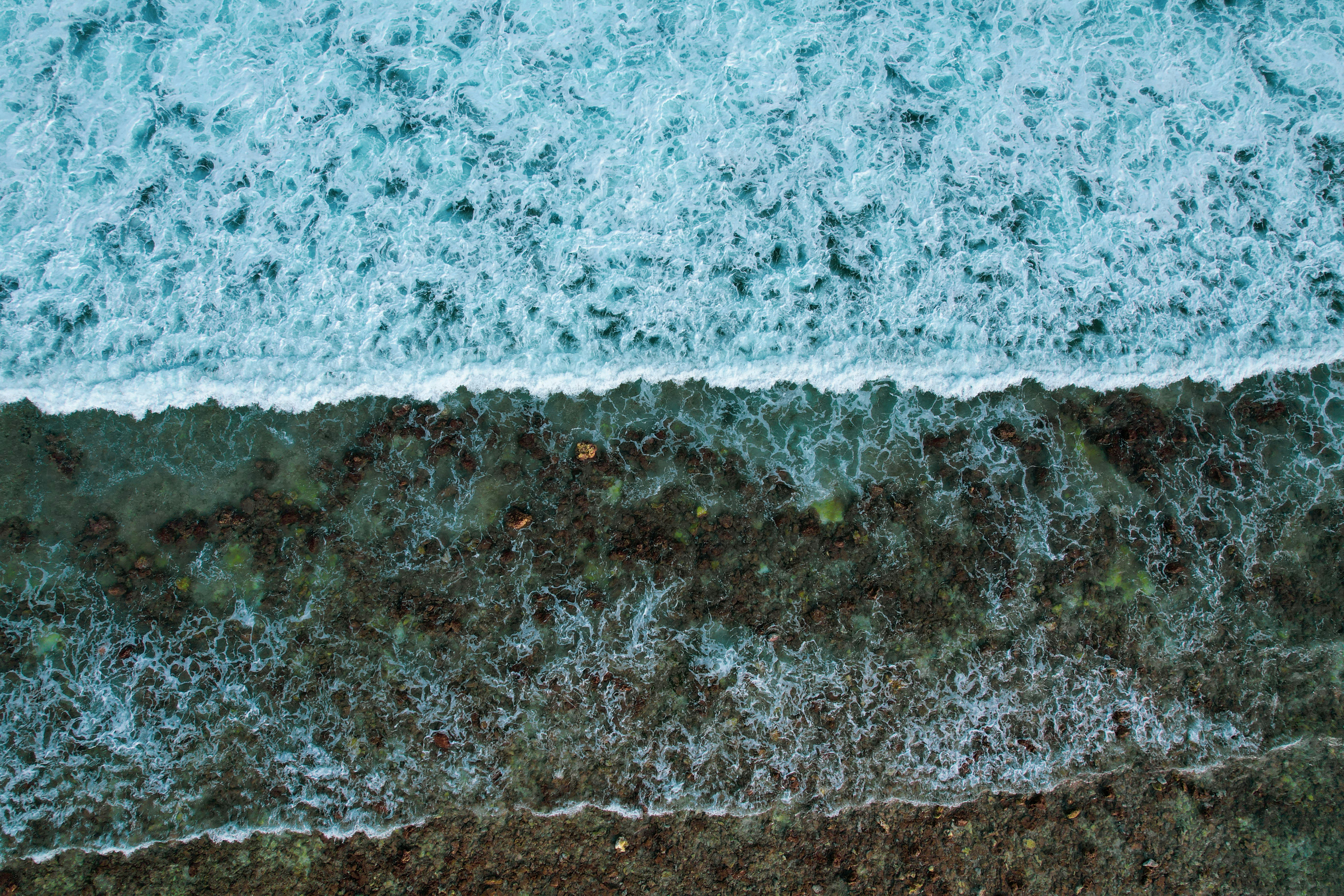 Photo by nashiuphotos