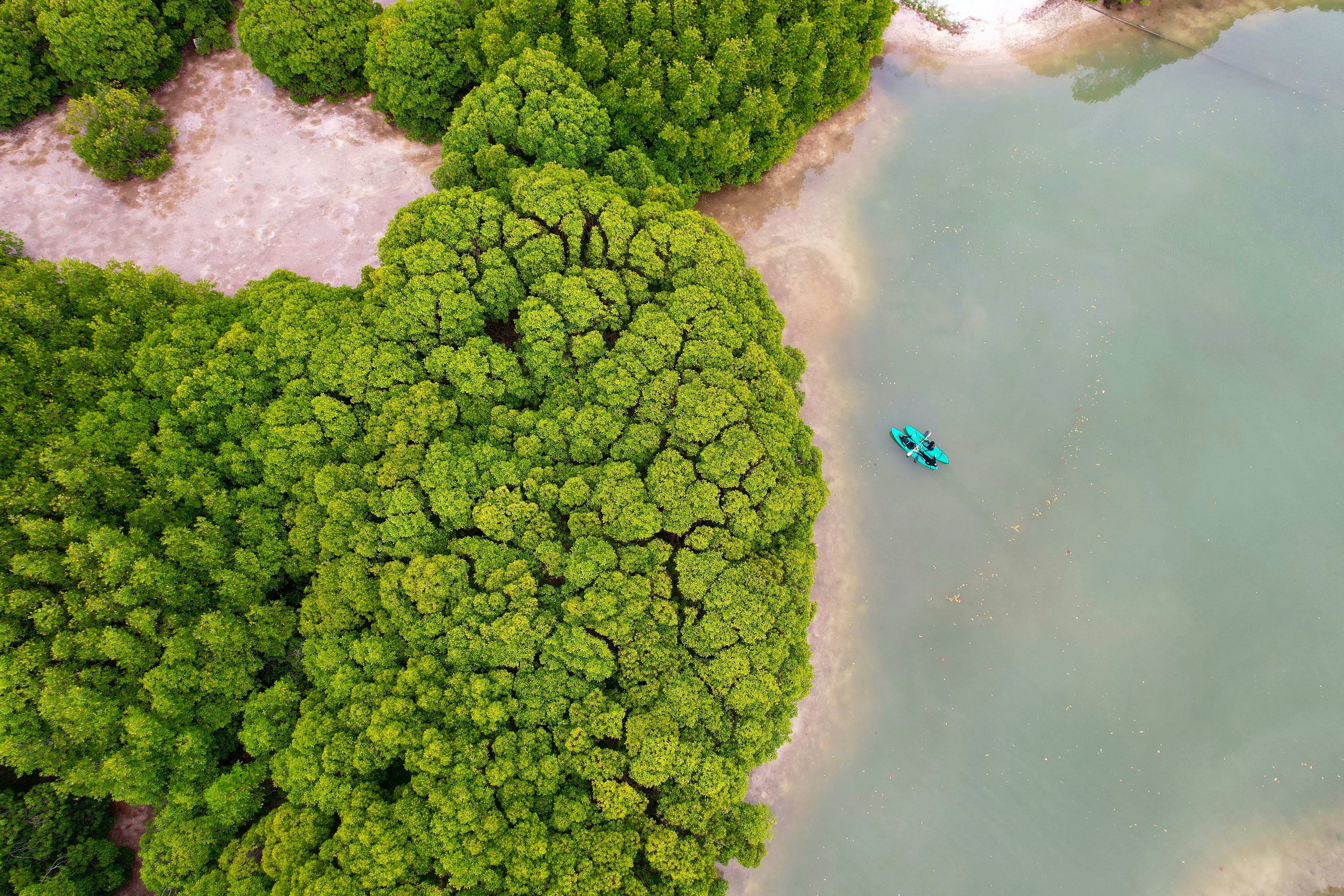 Photo by nashiuphotos