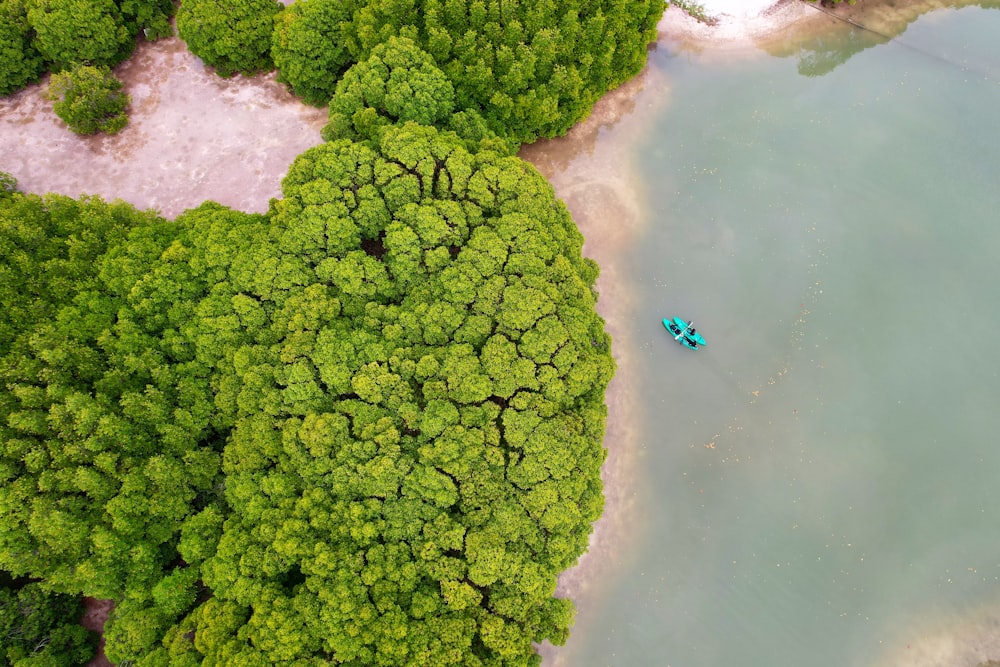 an aerial view of a blue boat in a lake surrounded by trees