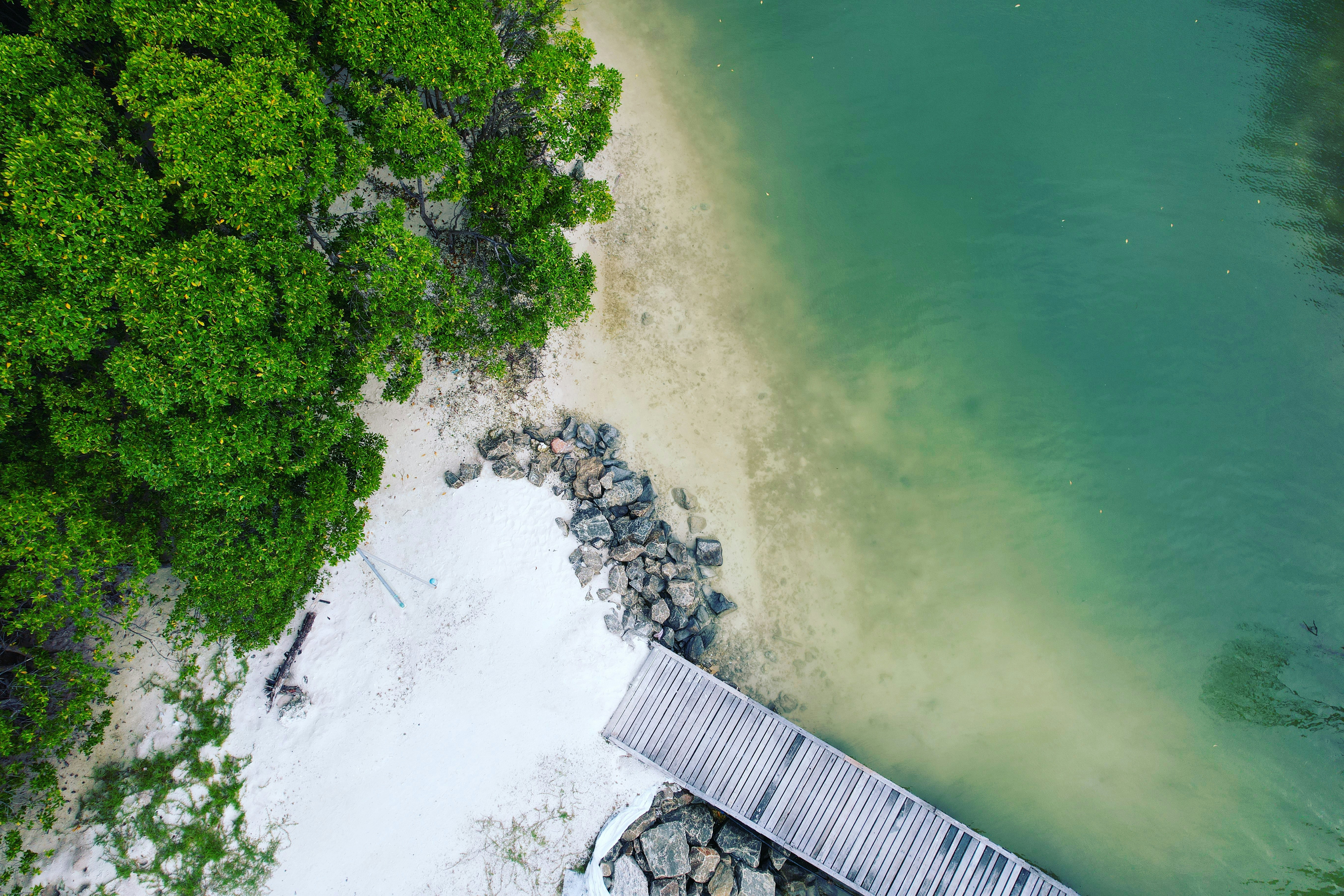 Photo by nashiuphotos