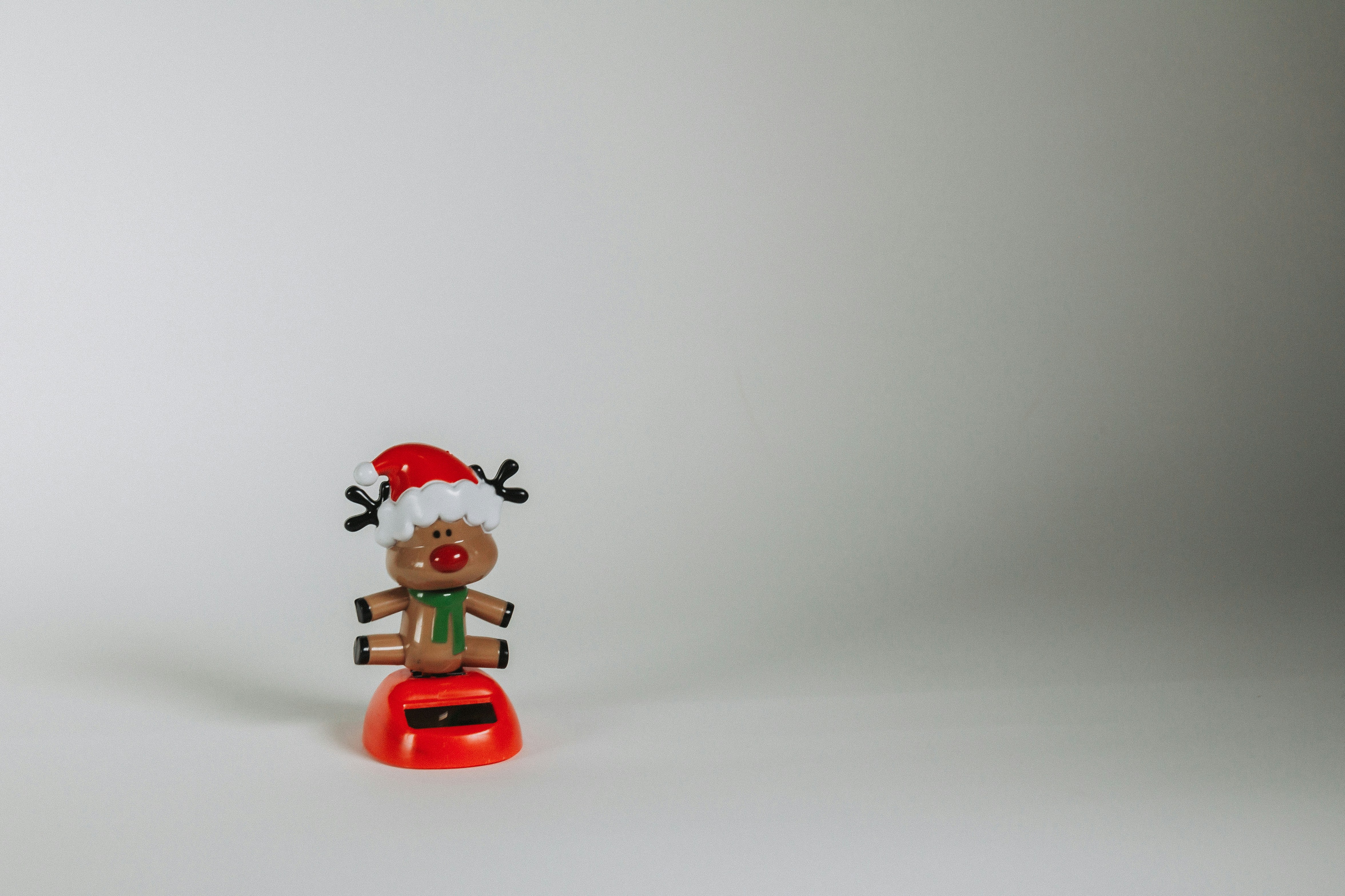 Photo by chelaruizphoto