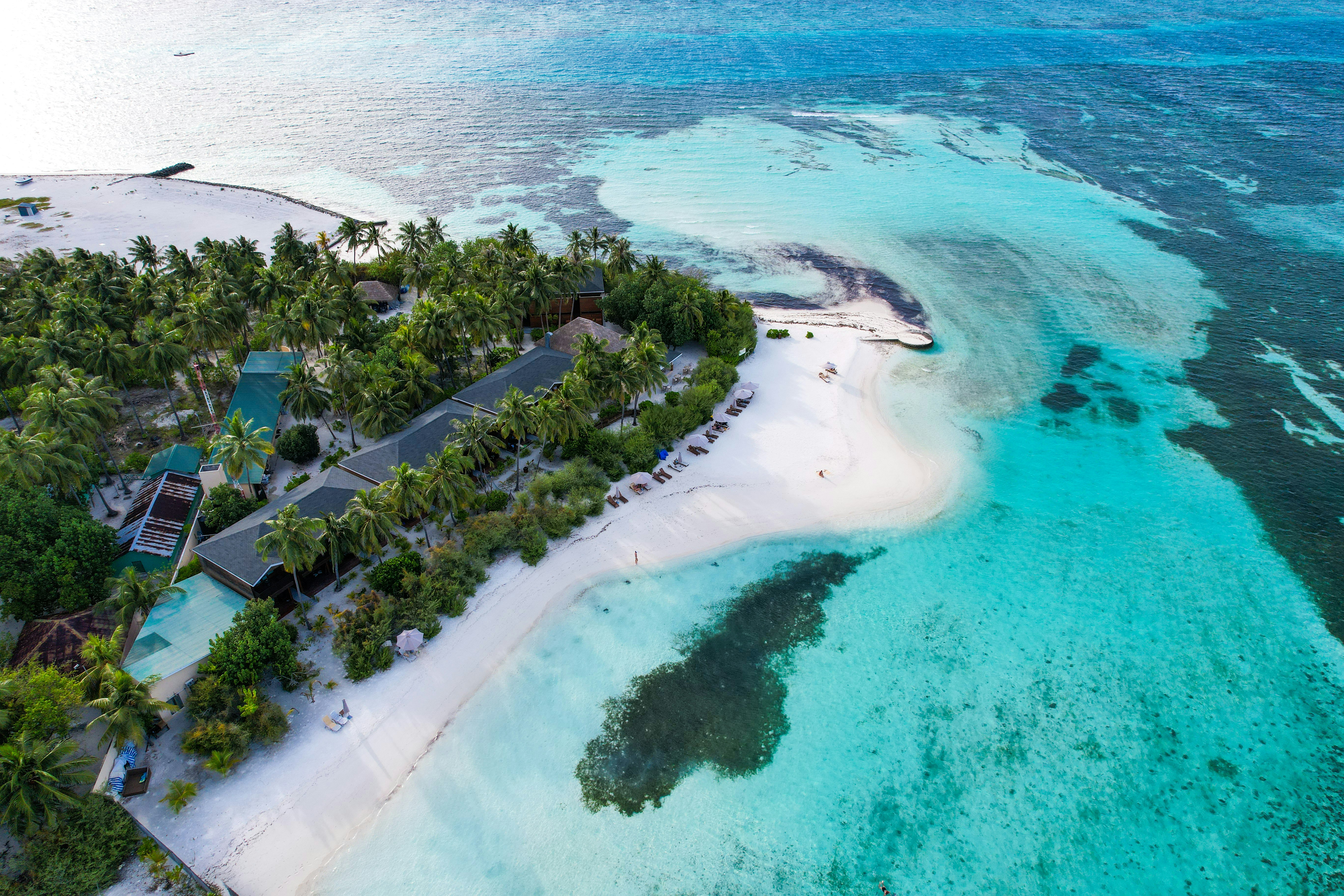 Photo by nashiuphotos