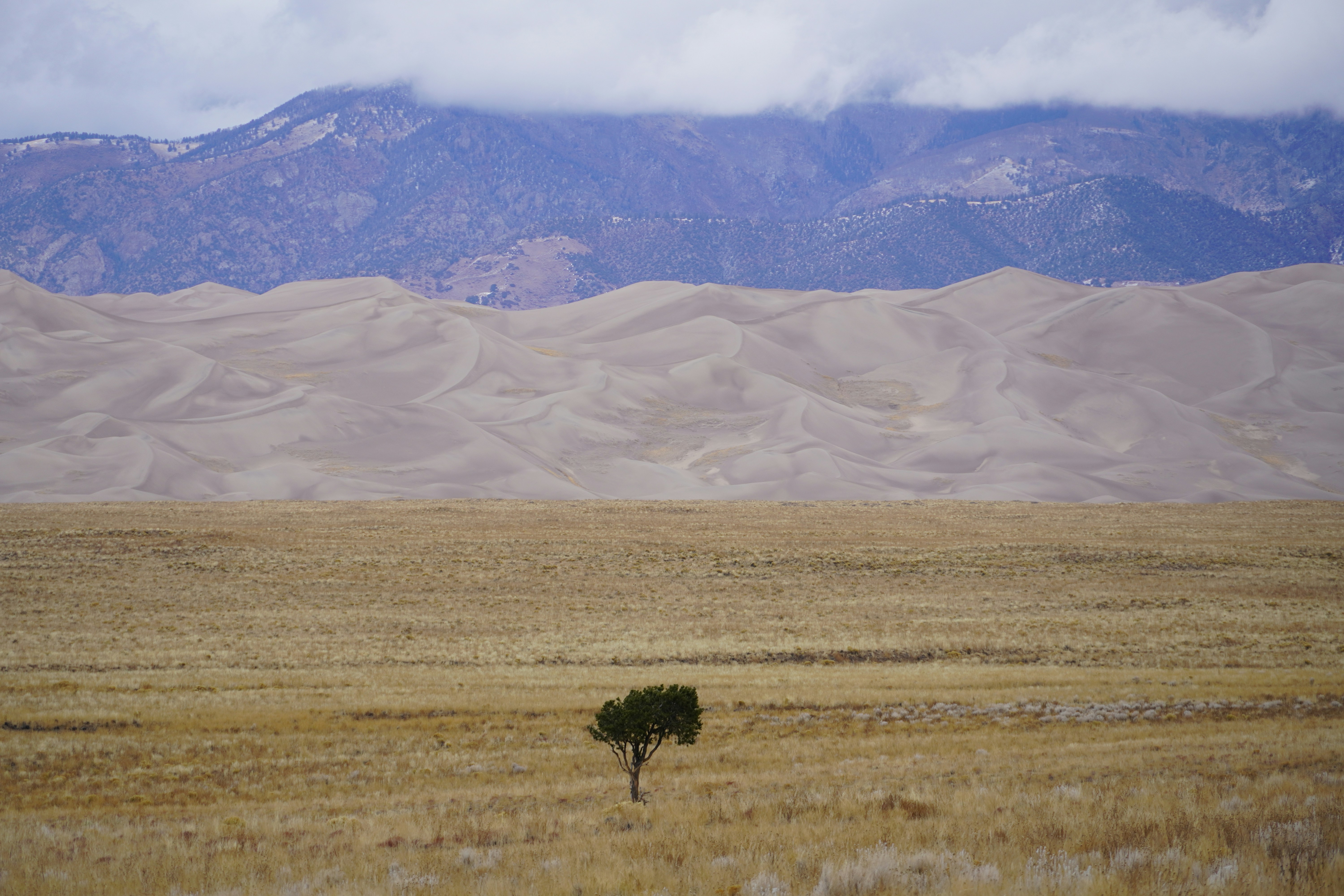 Photo by calecrunchy