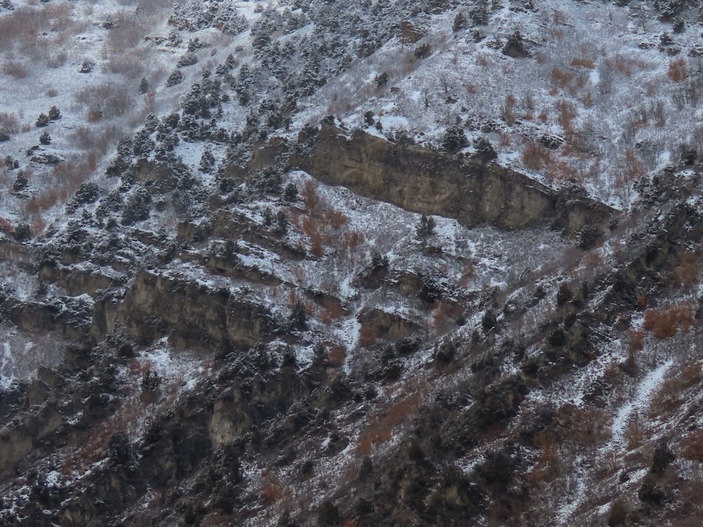 a snow covered mountain with a bird flying over it