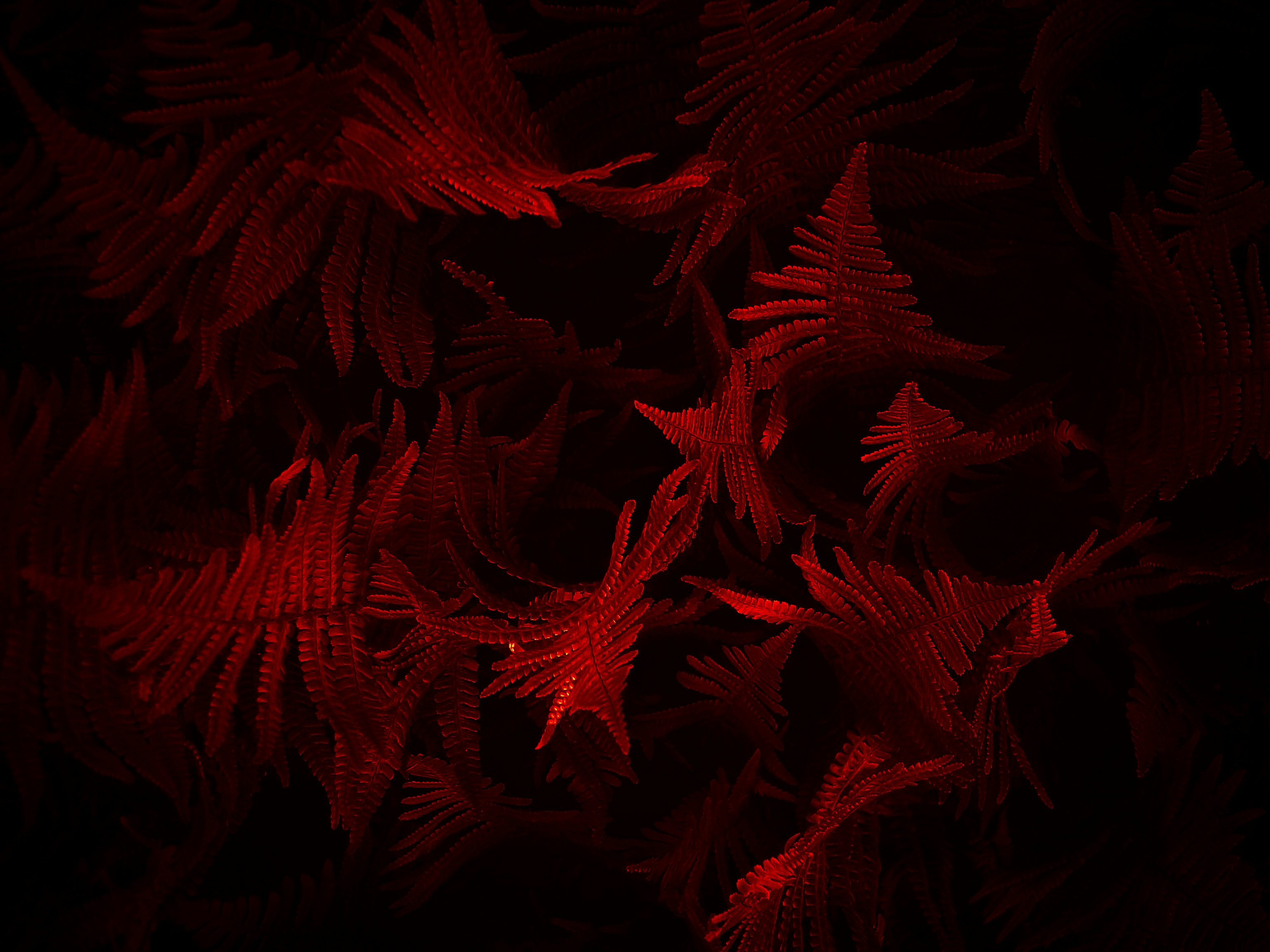 Photo by eugene_golovesov