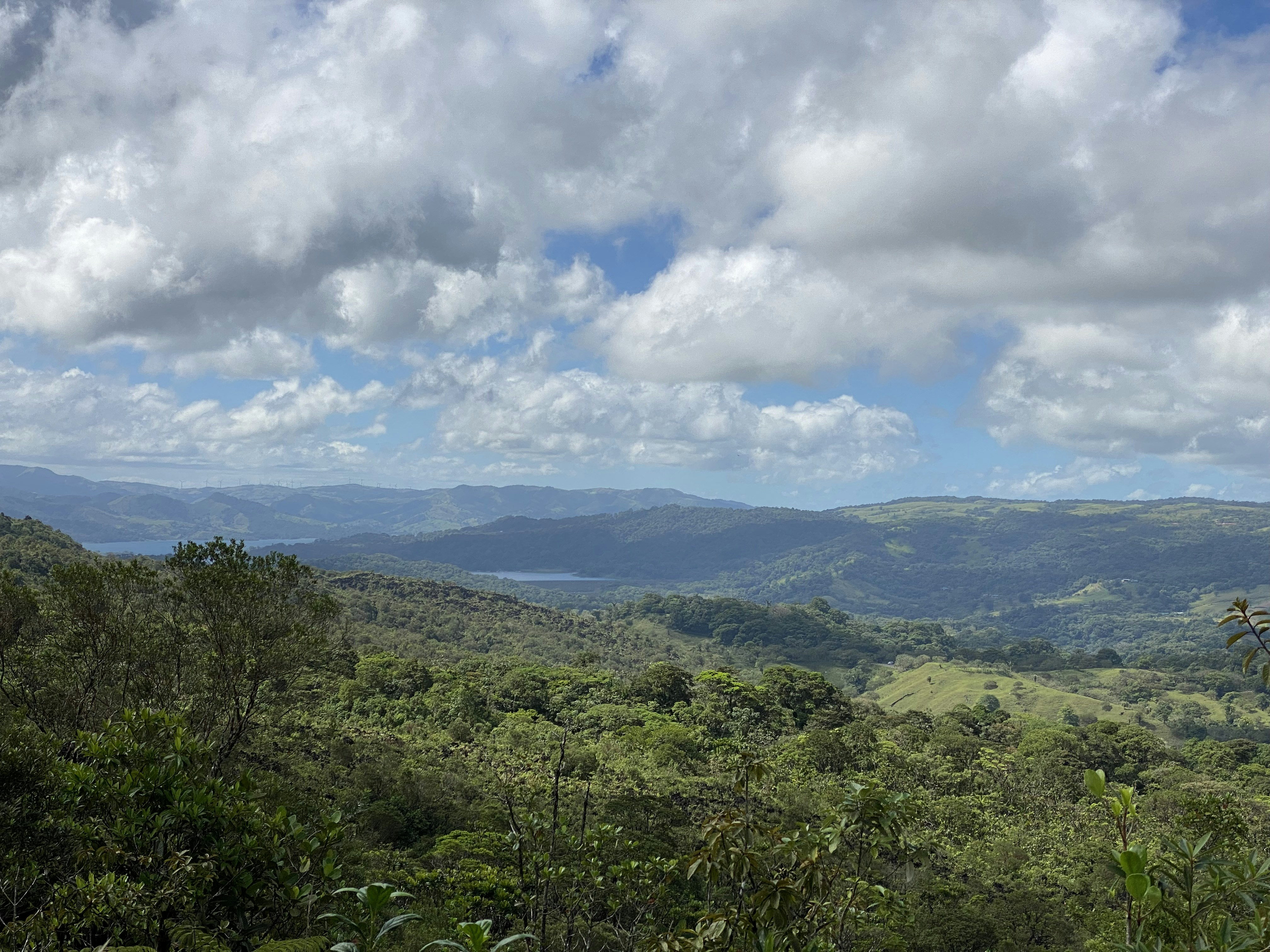 Una vista de un exuberante valle verde con montañas en la distancia