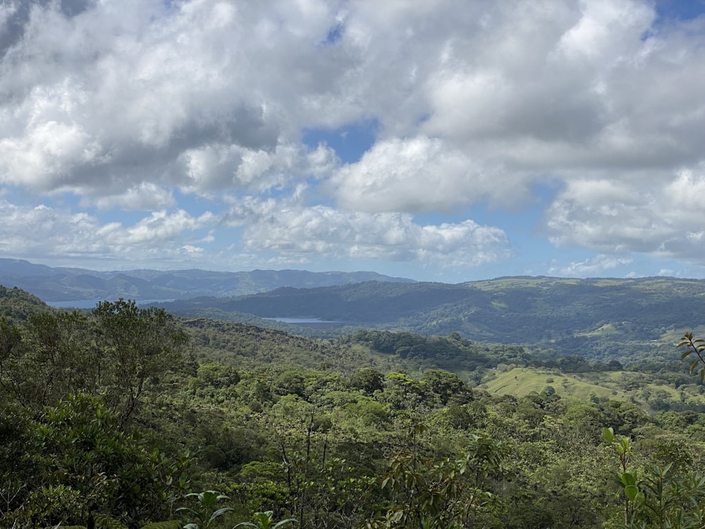 une vue d’une vallée verdoyante avec des montagnes au loin