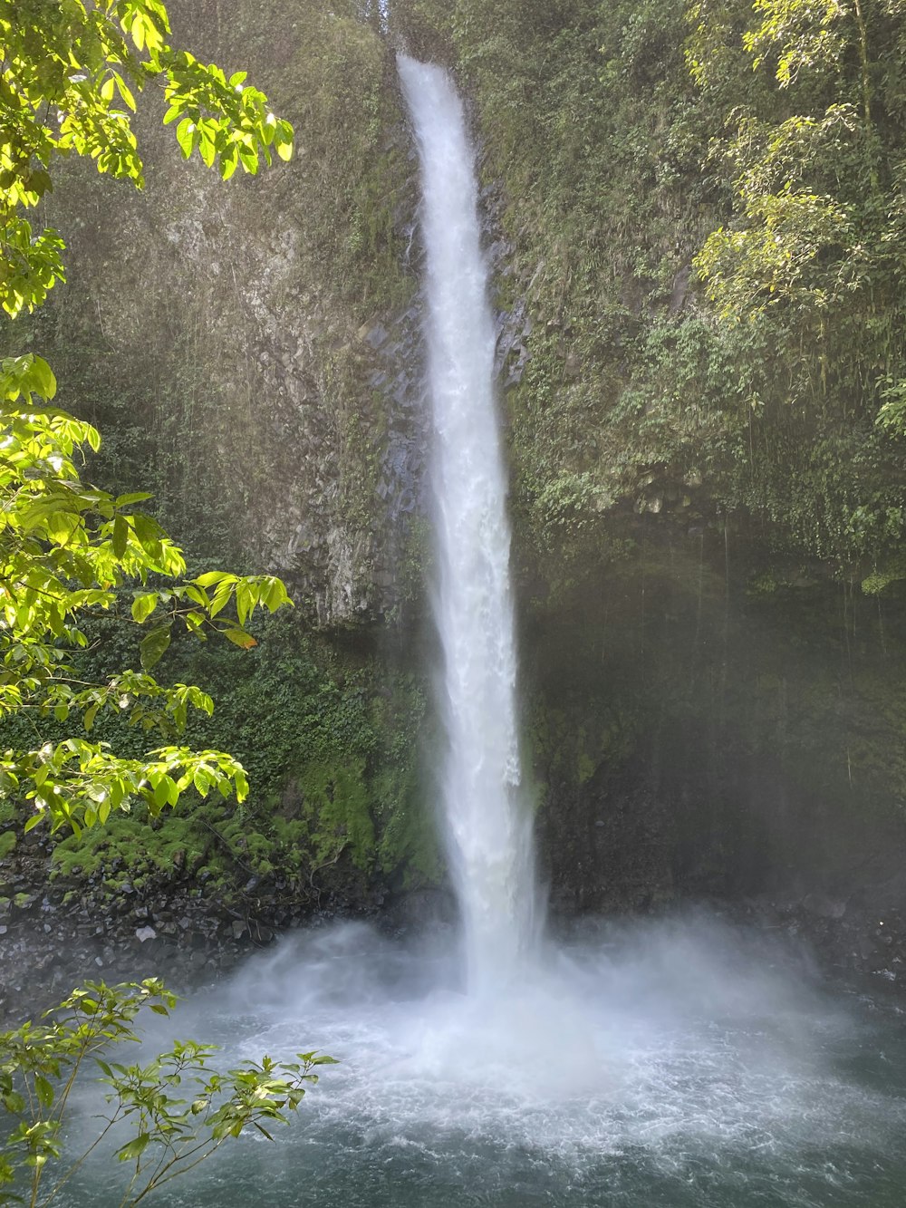 a large waterfall in the middle of a forest