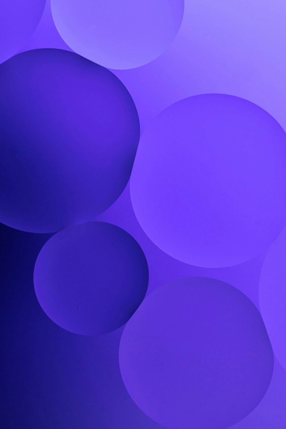 a purple background with circles of varying sizes