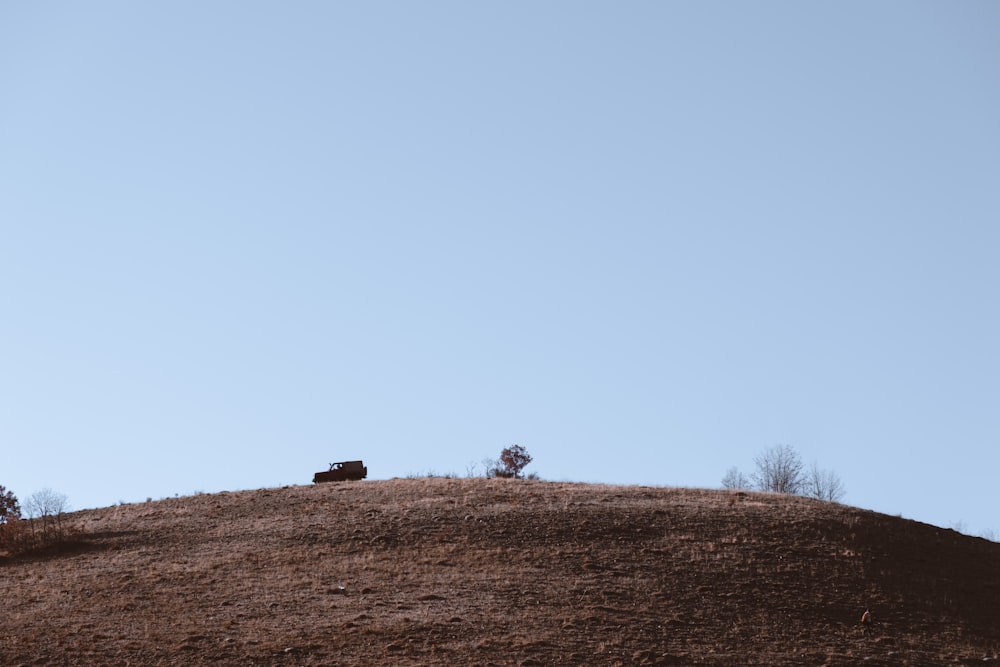 una collina con due alberi in cima