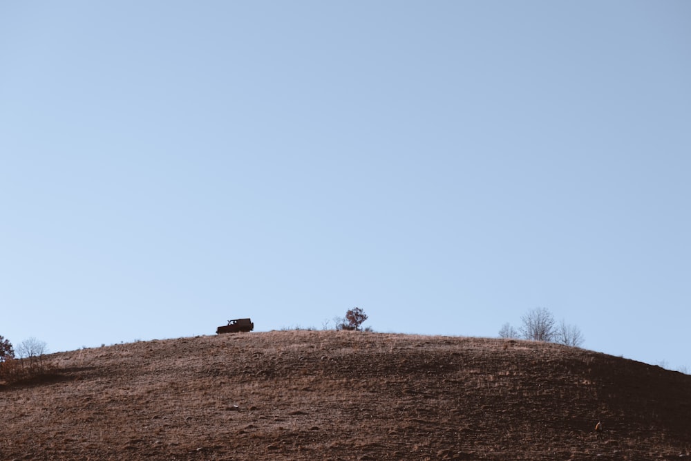 a hill with two trees on top of it