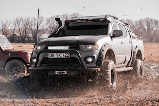 Robust 4x4 pickup truck navigating a rugged road in the Meta region.