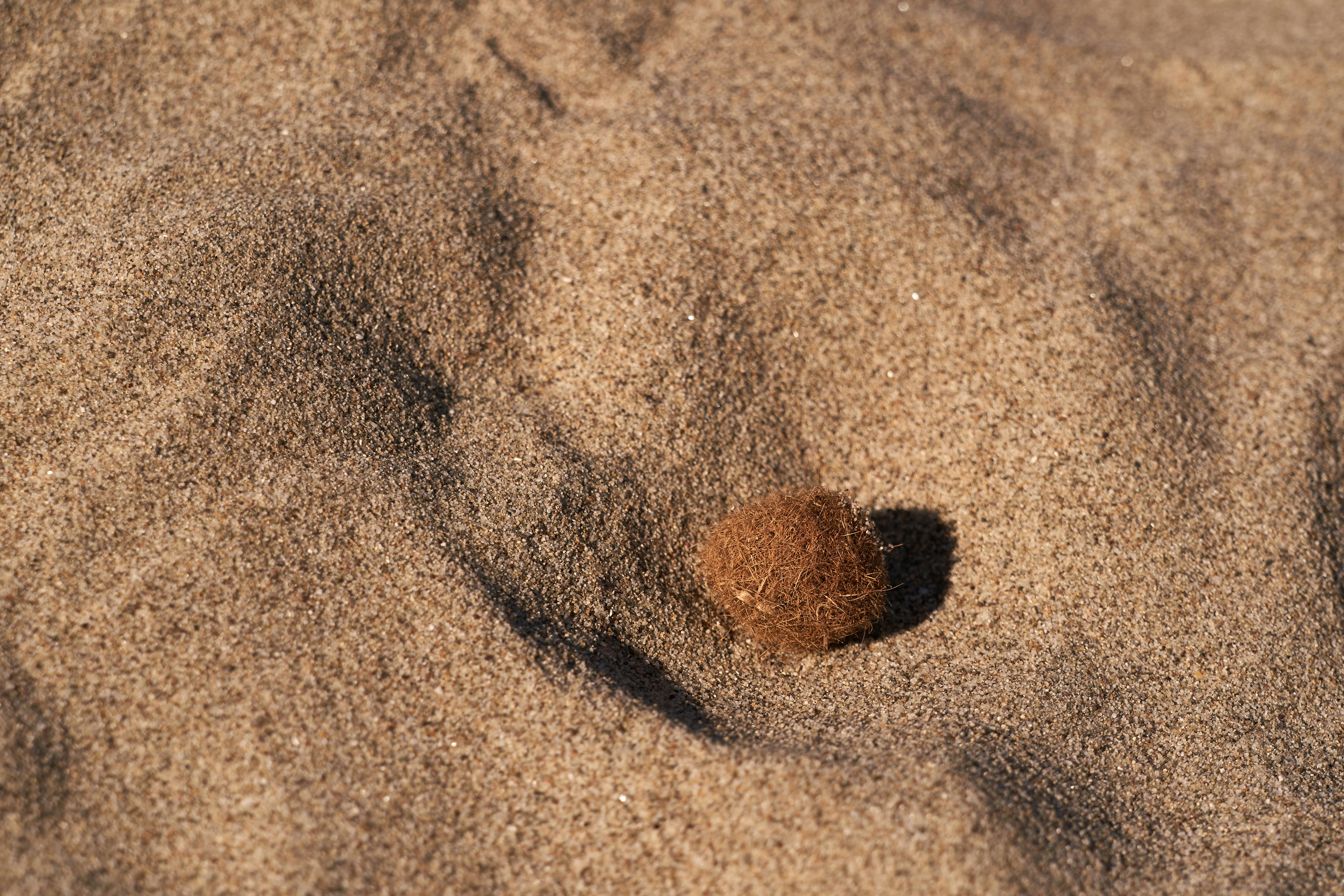 Photo by wolfgang_hasselmann