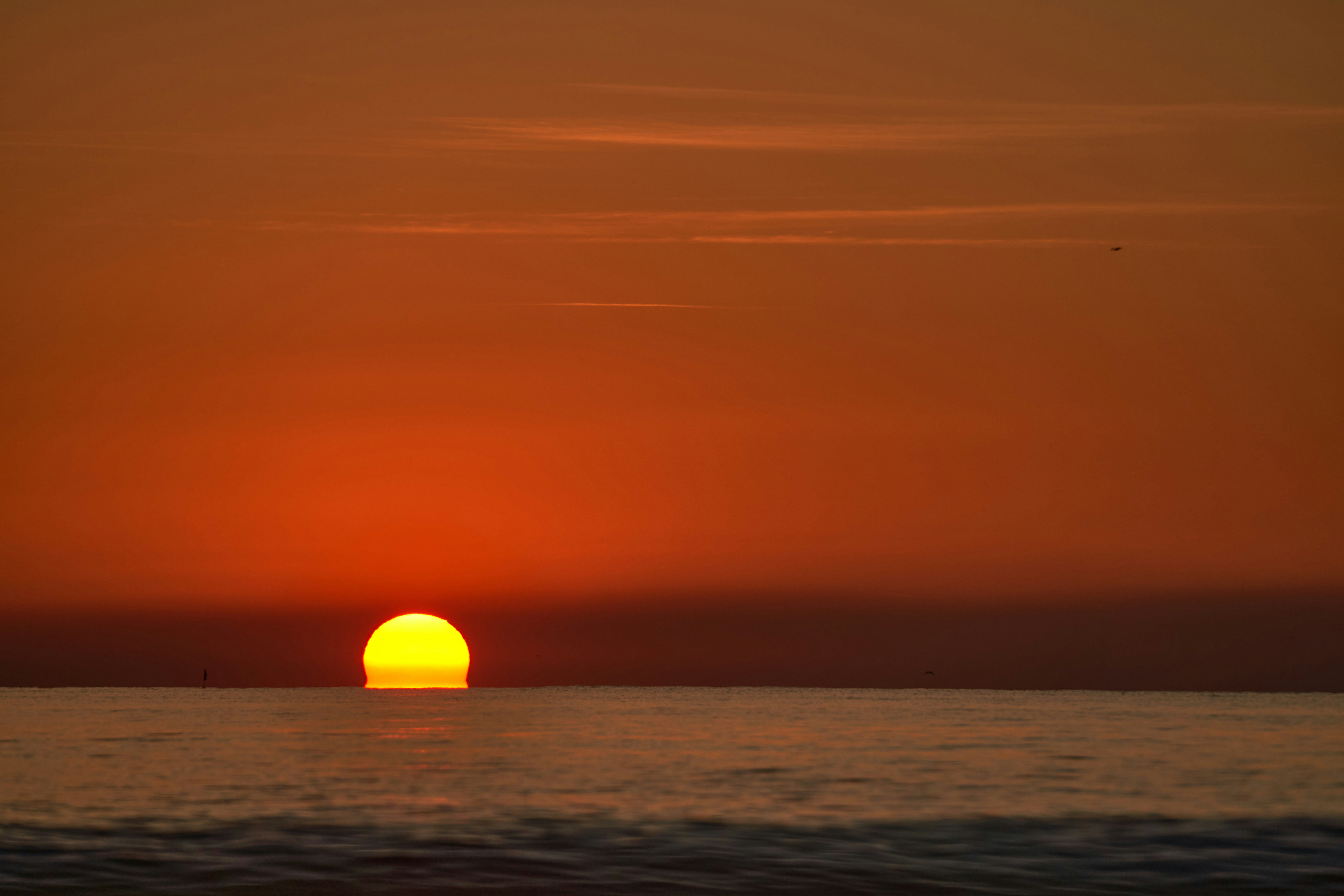 Photo by wolfgang_hasselmann