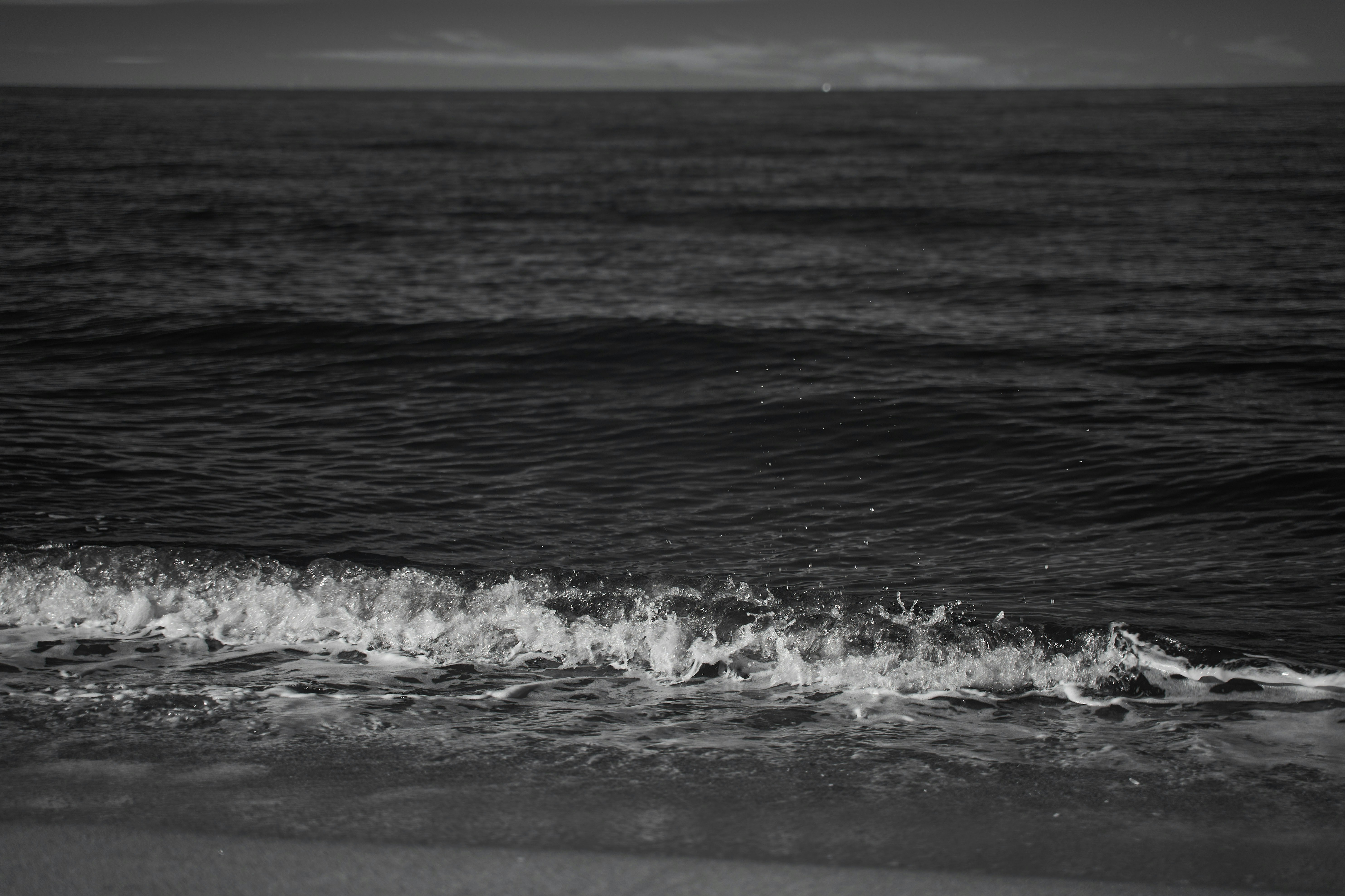 Photo by wolfgang_hasselmann