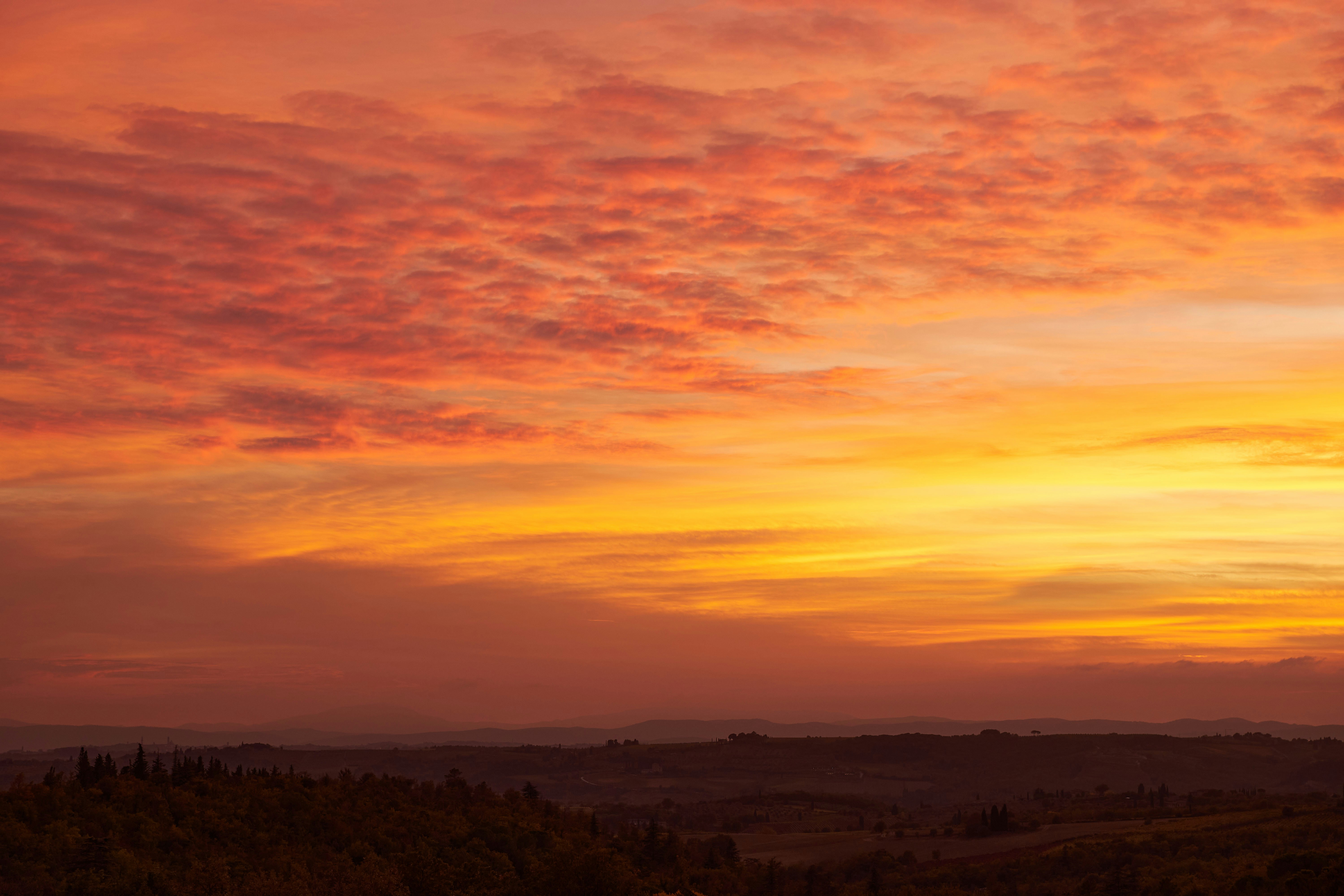 Photo by wolfgang_hasselmann