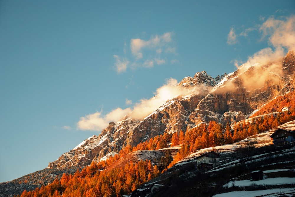 a mountain covered in snow with trees in the foreground