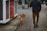 A person wearing a dark jacket and brown pants walks a golden retriever on a pink leash along a brick sidewalk. The person is next to a building with a red door, and there is a mix of concrete and brick paths.