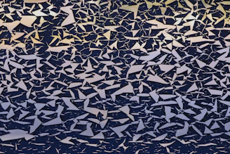 A collection of jagged glass pieces in various shapes and sizes displayed on white paper.