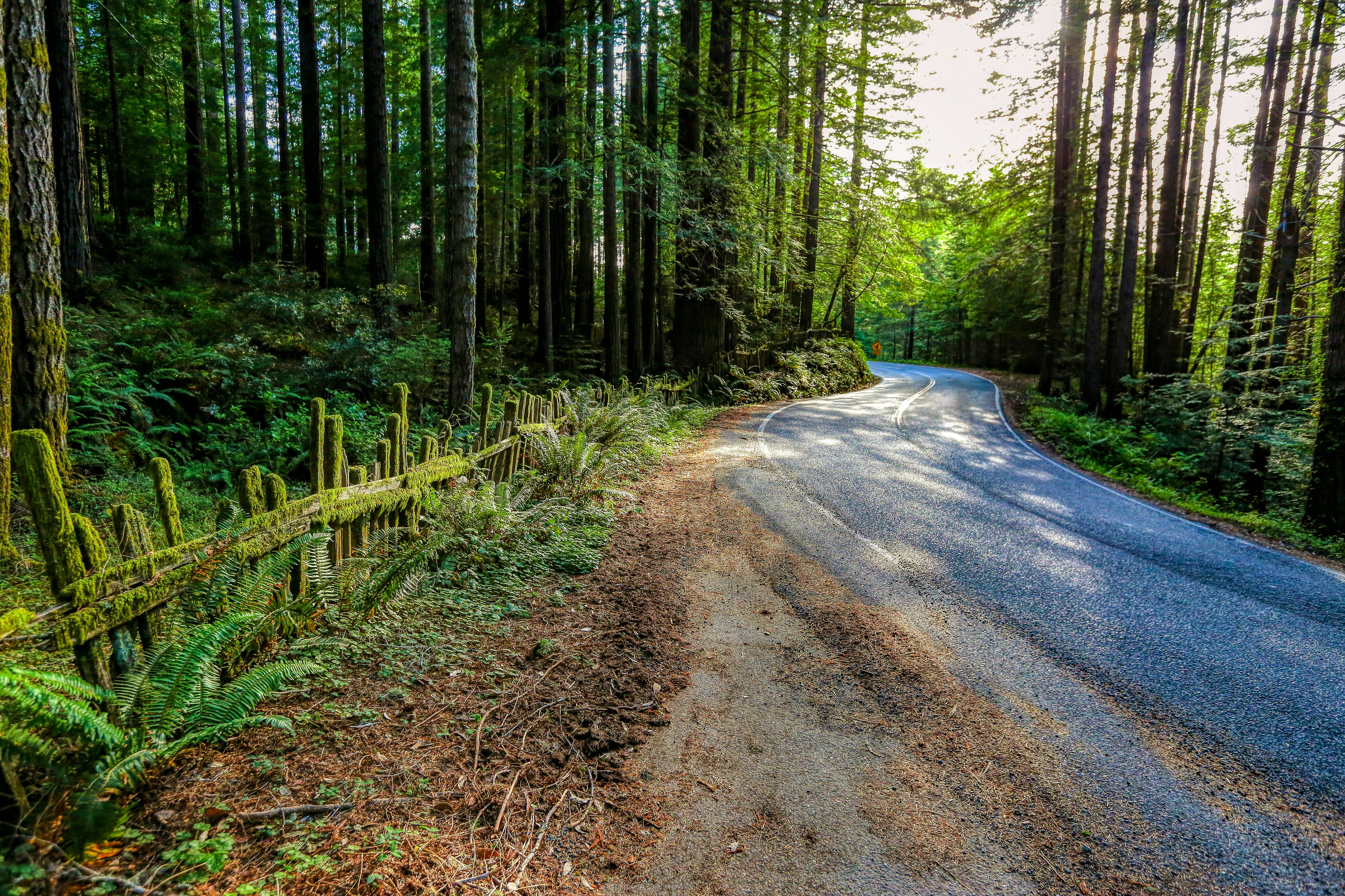 Photo by rocinante_11