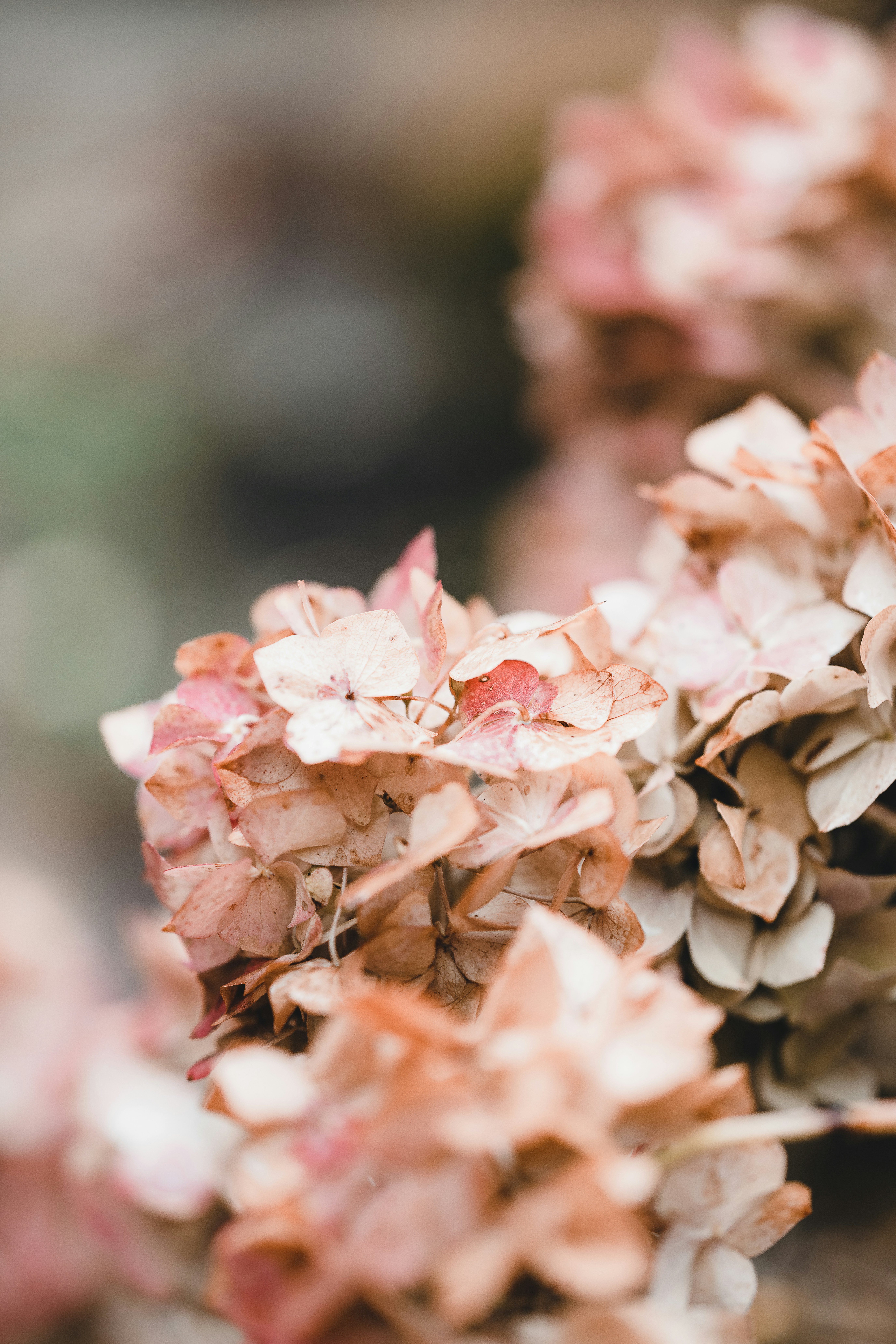 Photo by anniespratt