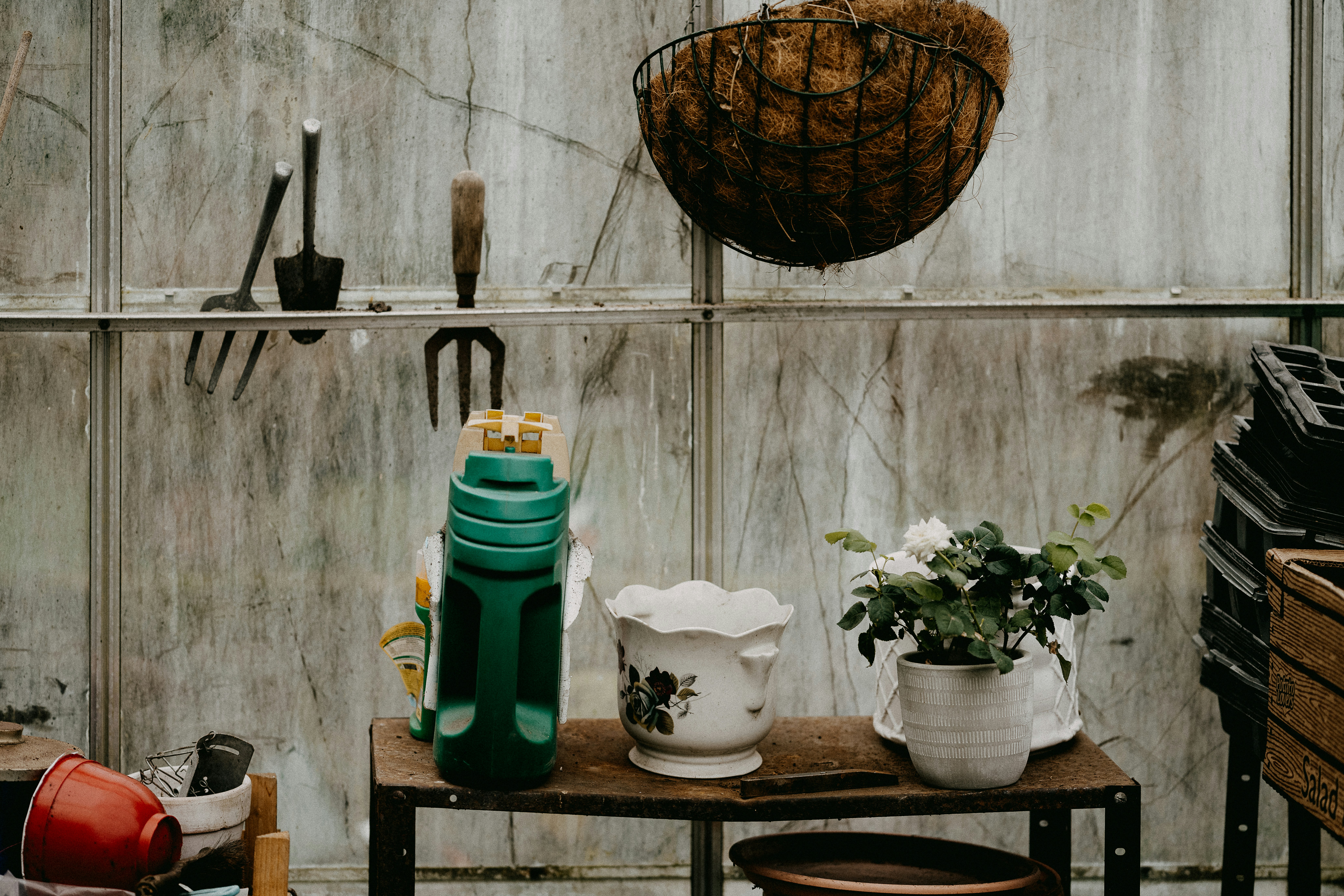 Photo by anniespratt