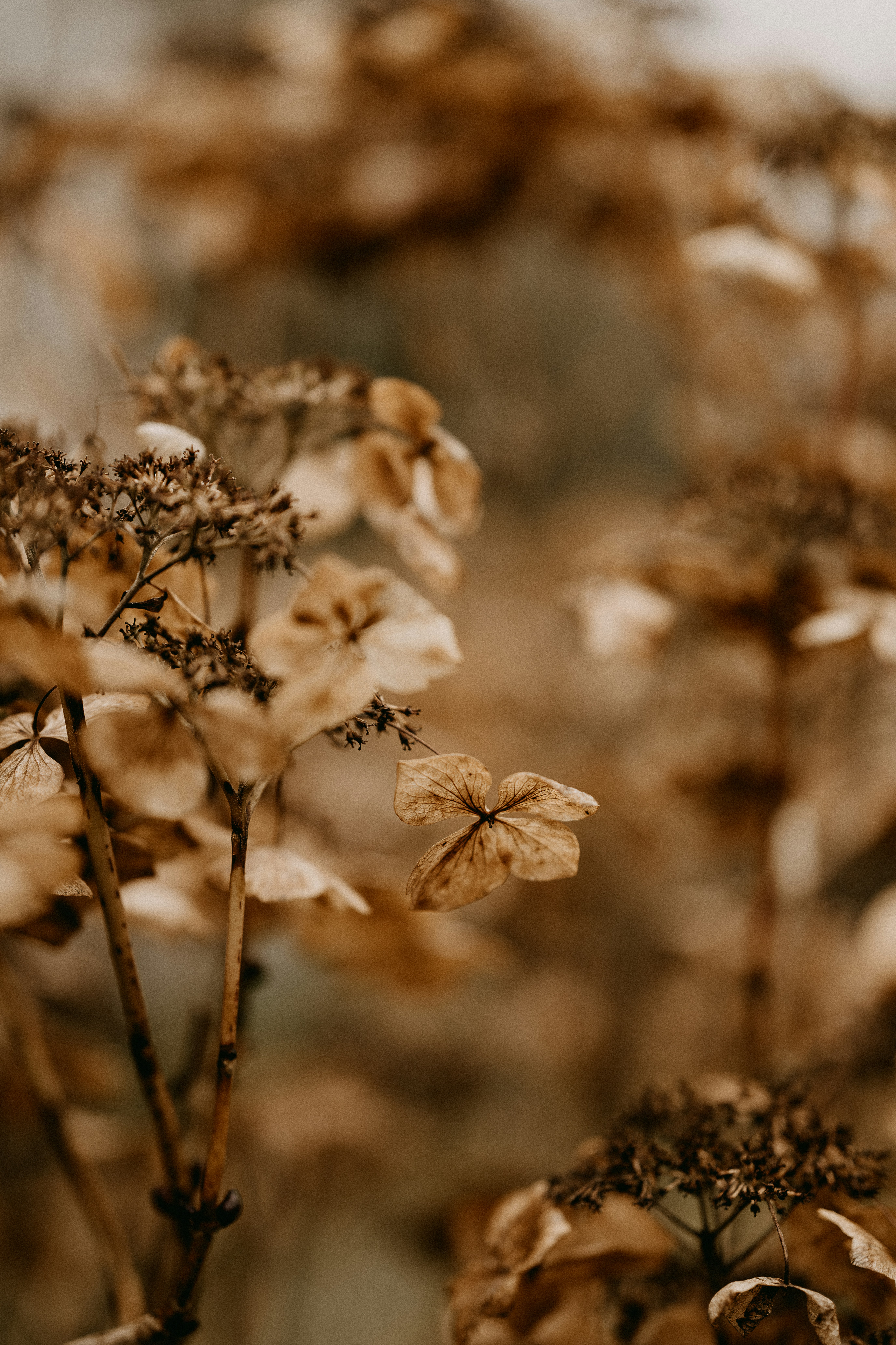 Photo by anniespratt