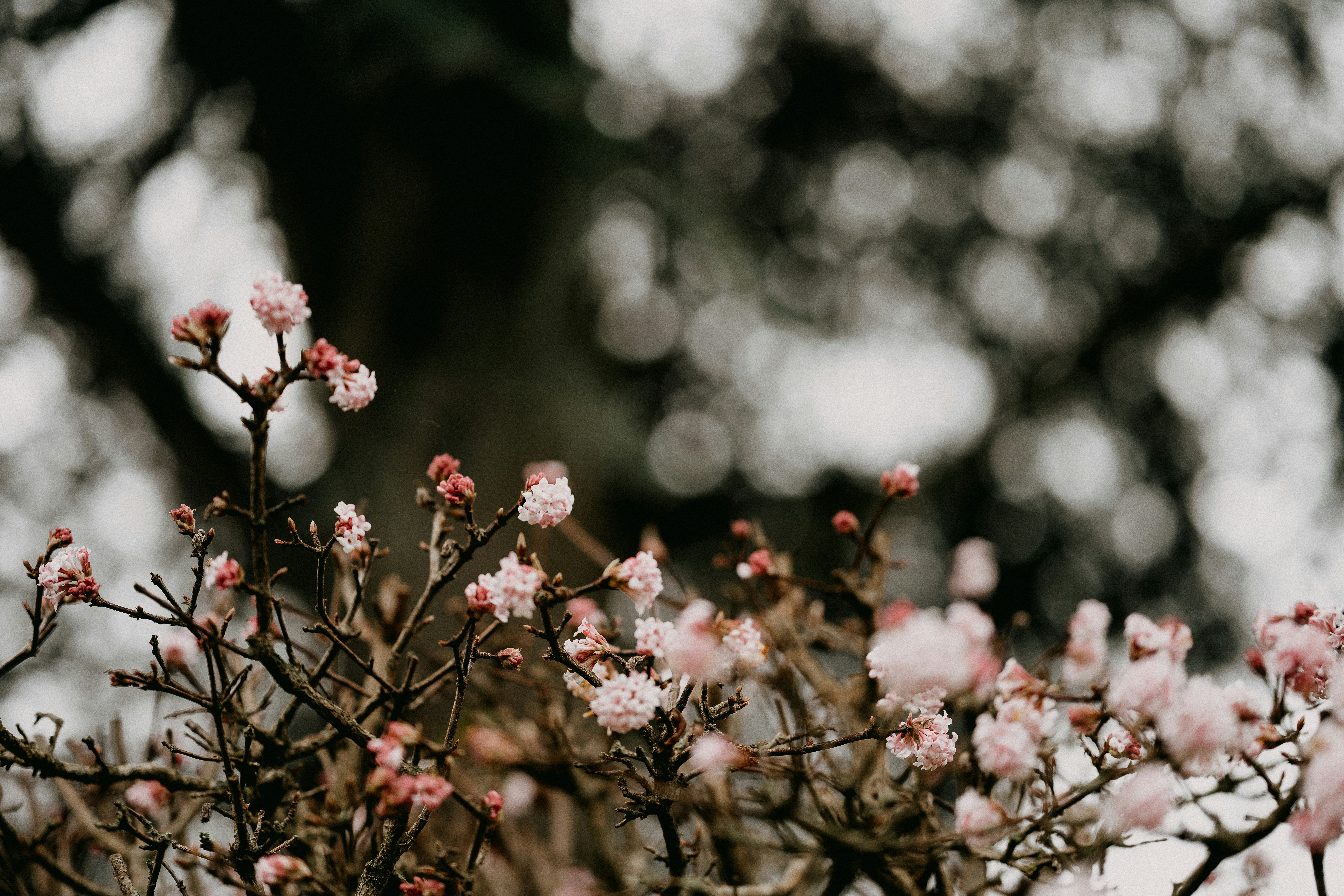 Photo by anniespratt