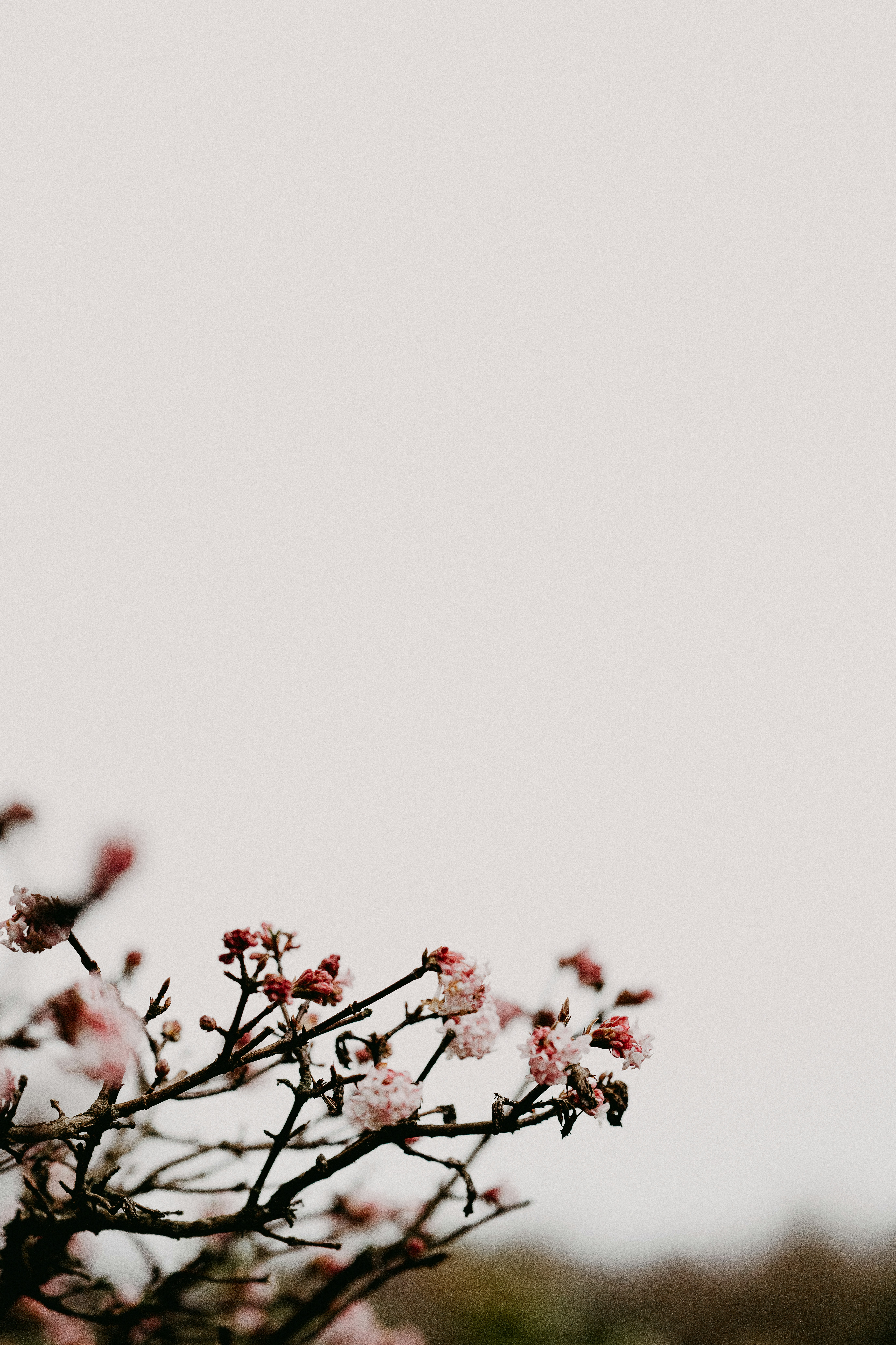 Photo by anniespratt