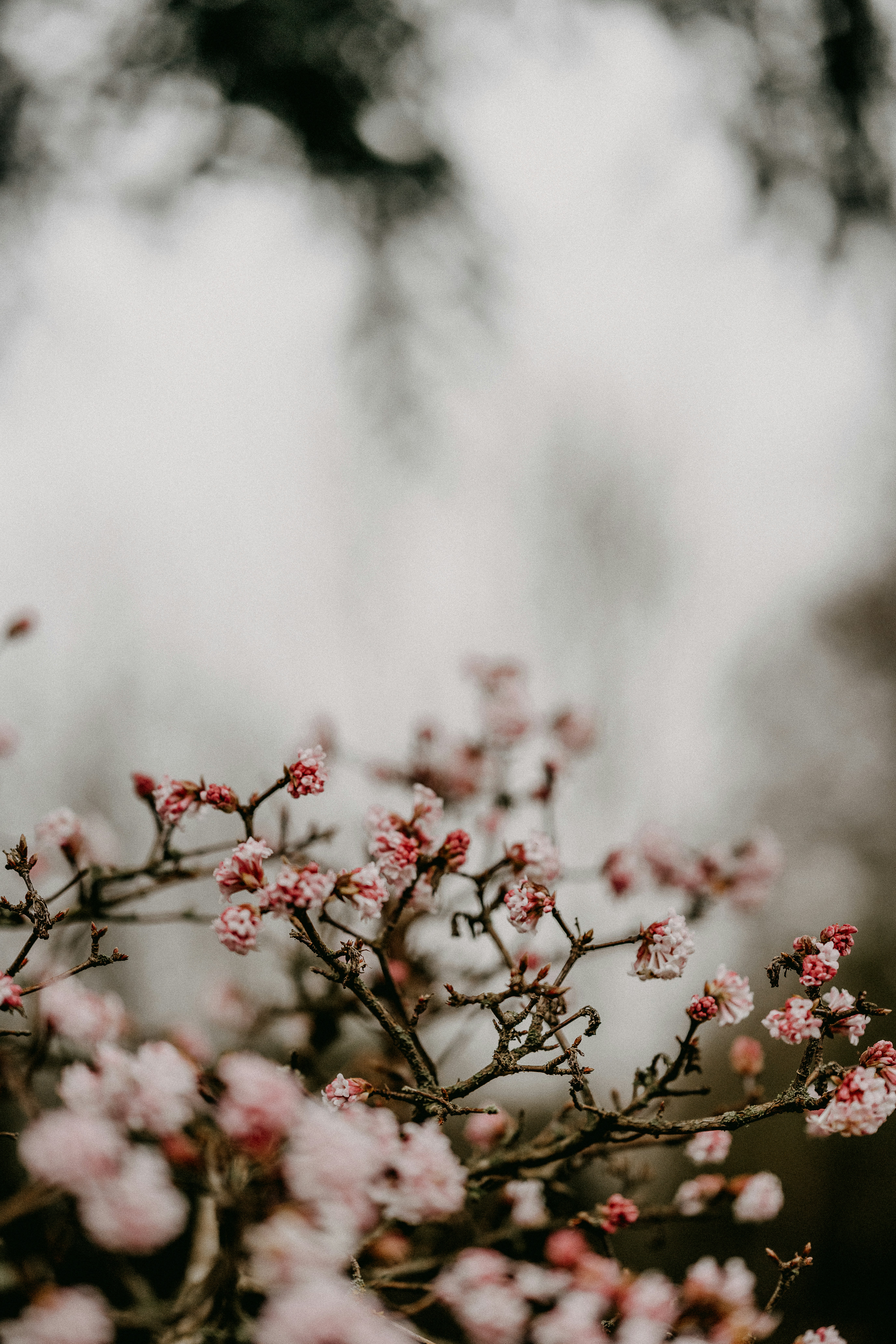 Photo by anniespratt