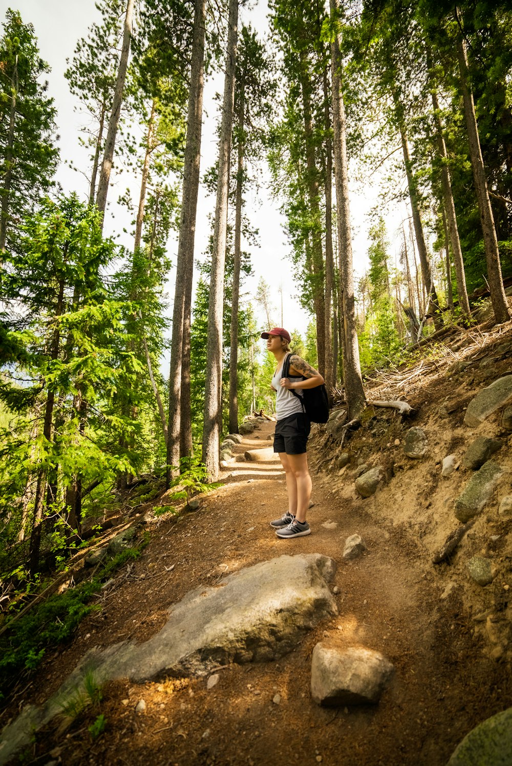 a person standing on a trail in the woods