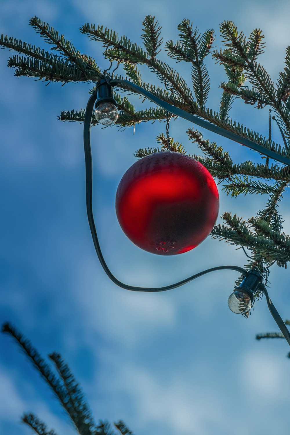 a red ornament hanging from a tree branch