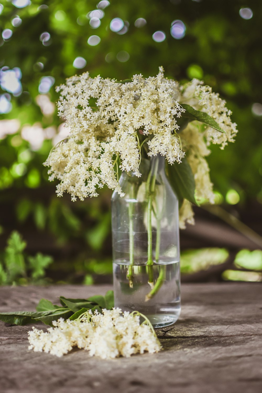 un vaso pieno di fiori bianchi seduto sopra un tavolo