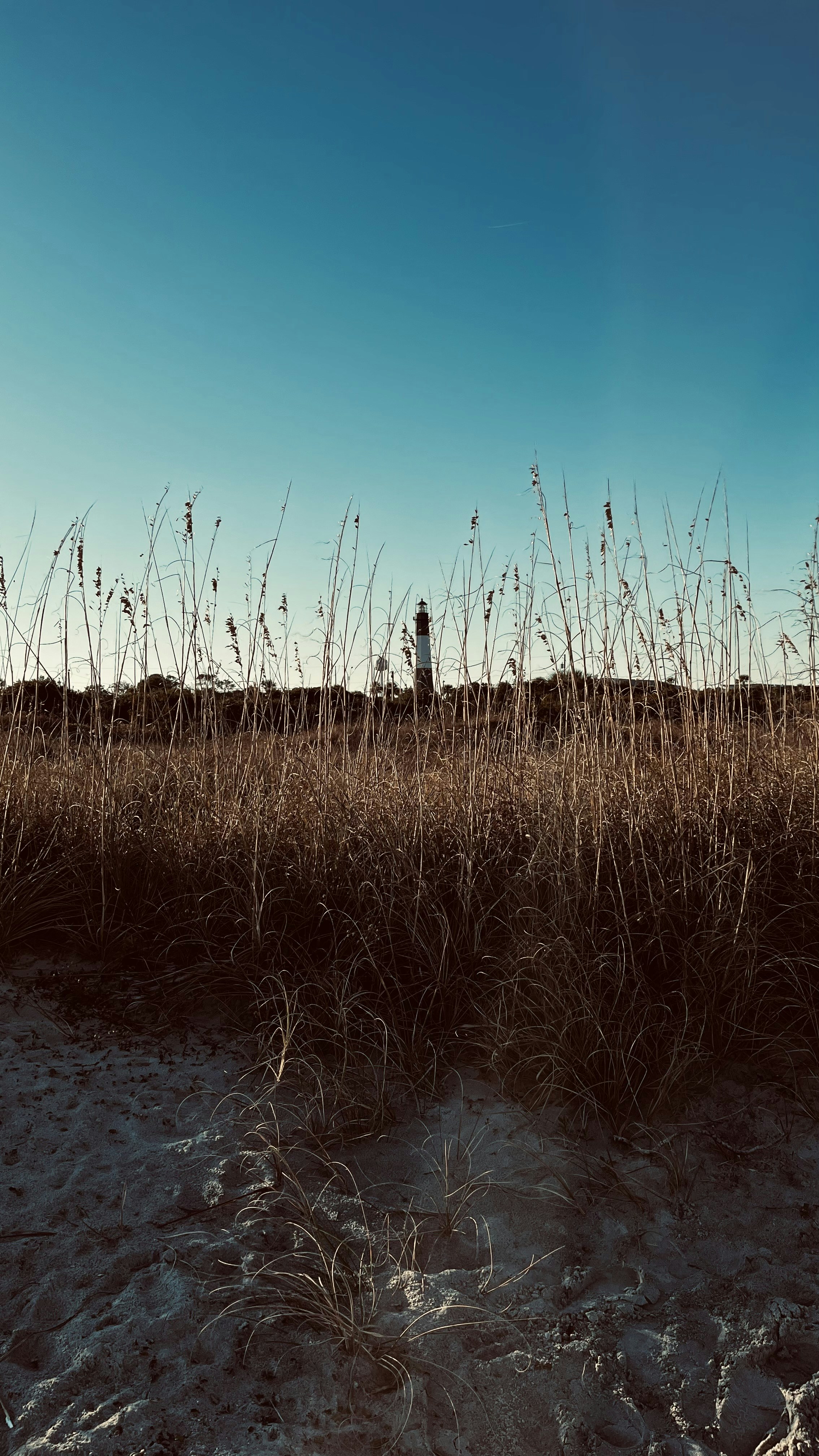 Photo by kayleestepkoski