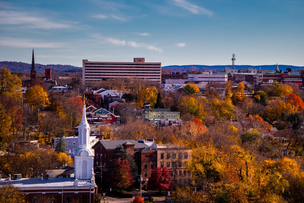 a view of a city with a church in the middle