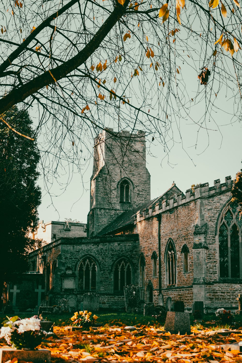 an old church with a tree in front of it