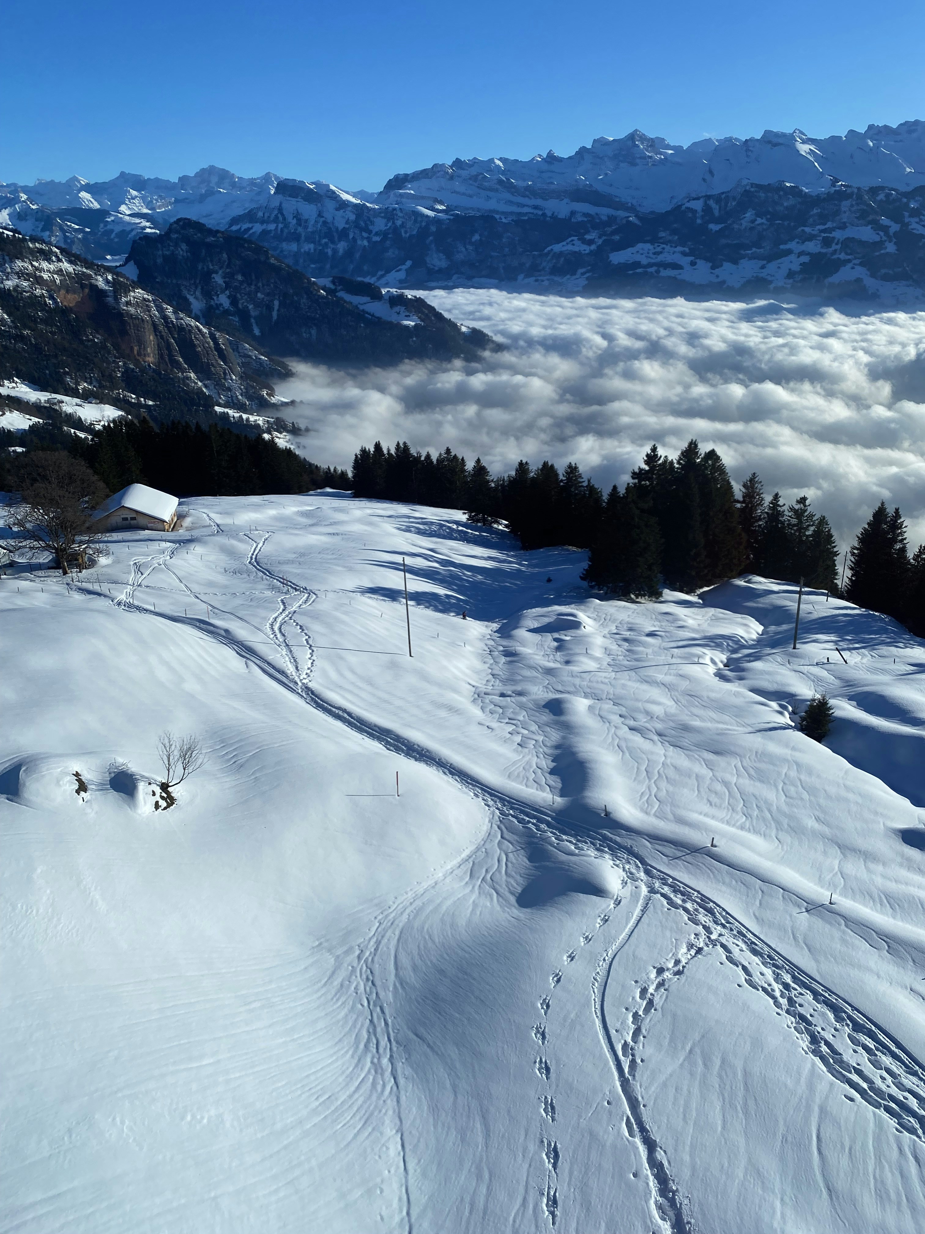 a view of a ski slope covered in snow