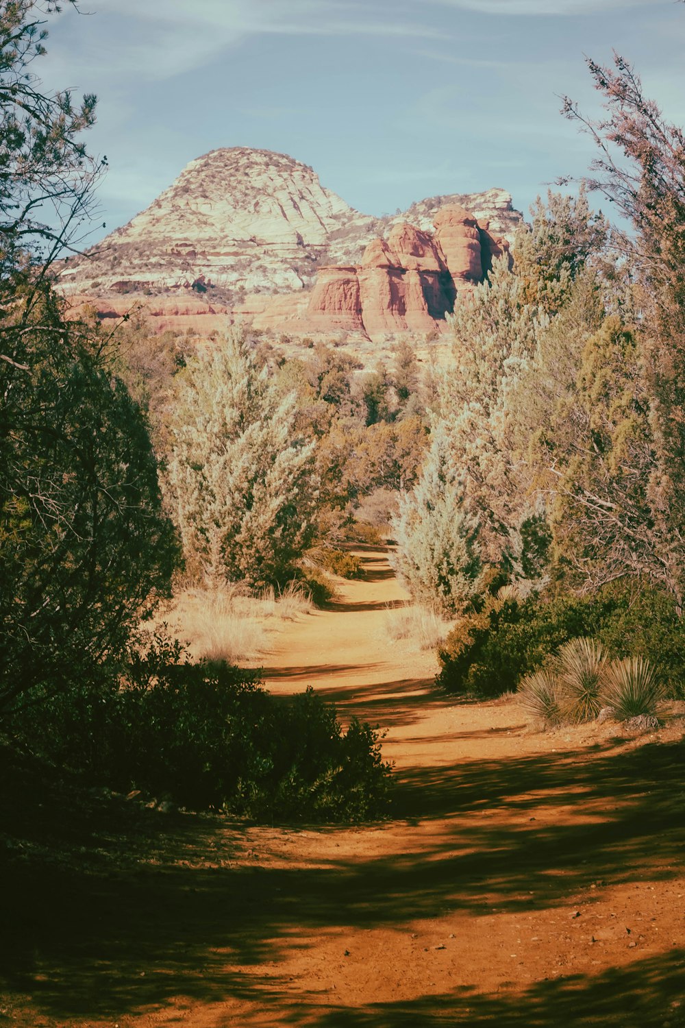 a dirt road surrounded by trees and mountains