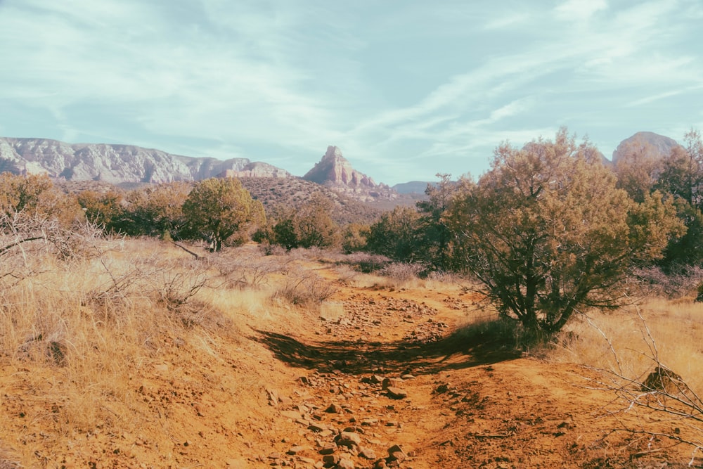 a dirt path in the desert with mountains in the background