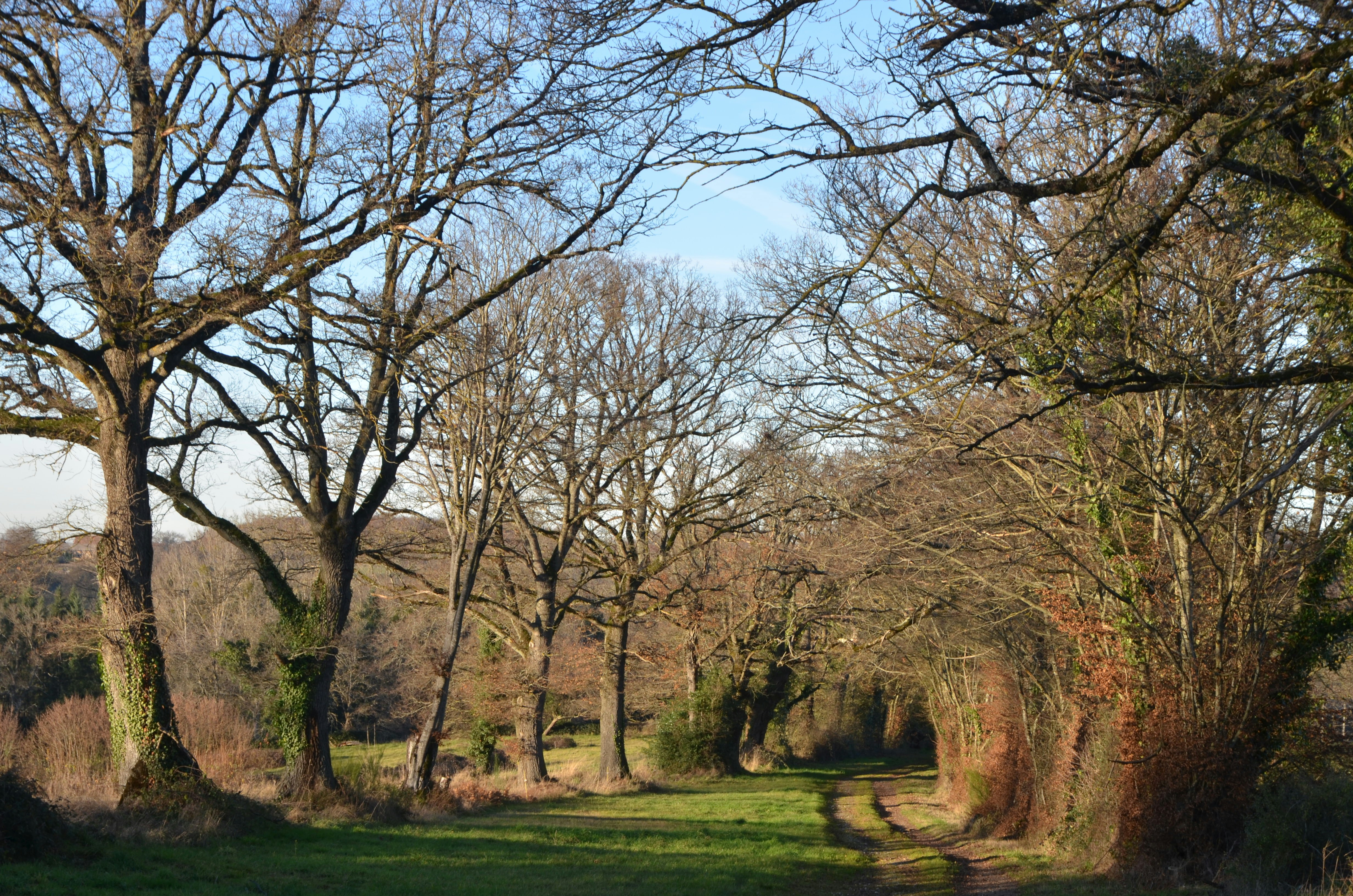 Photo by ashwinward18