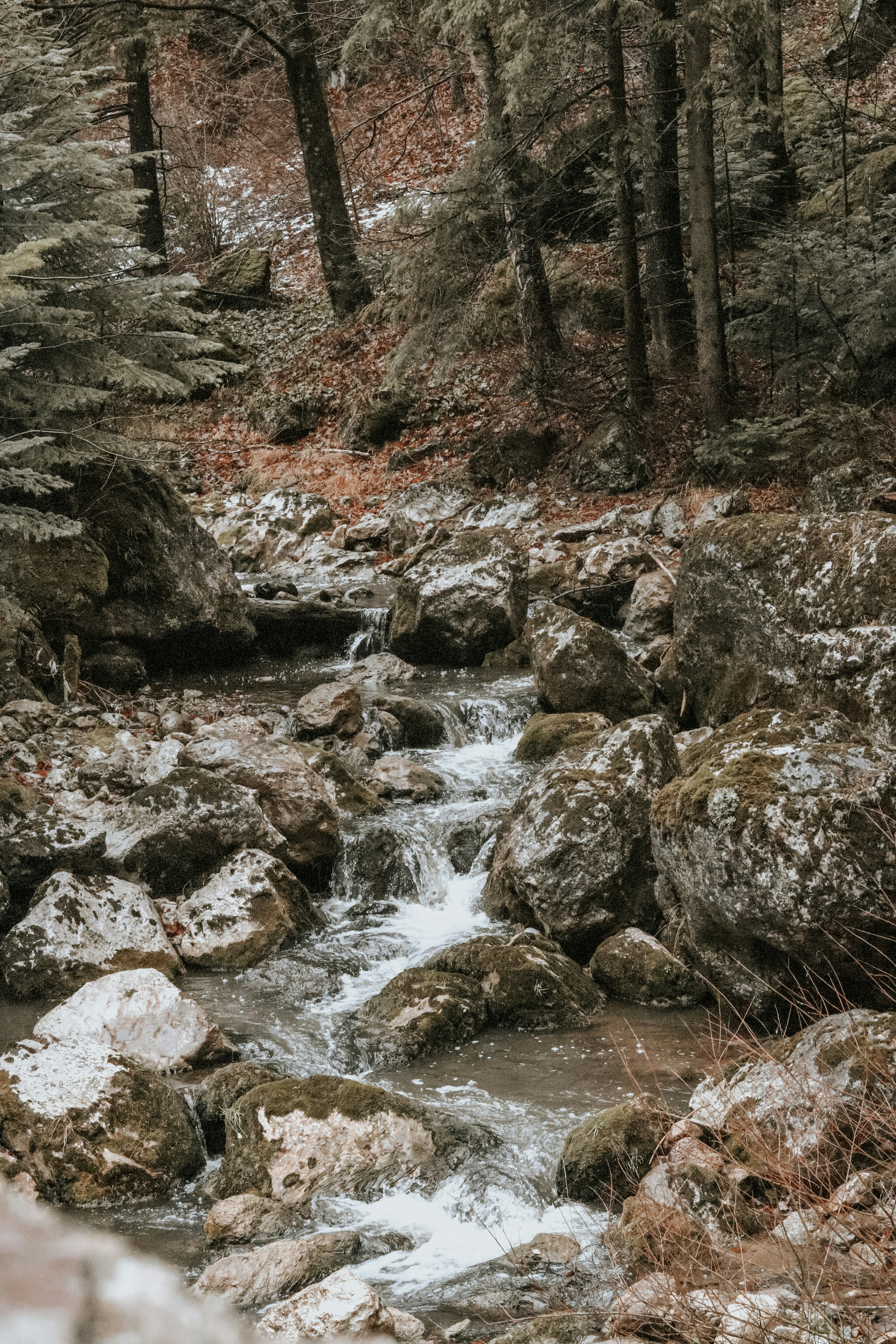 Photo by krisztian21